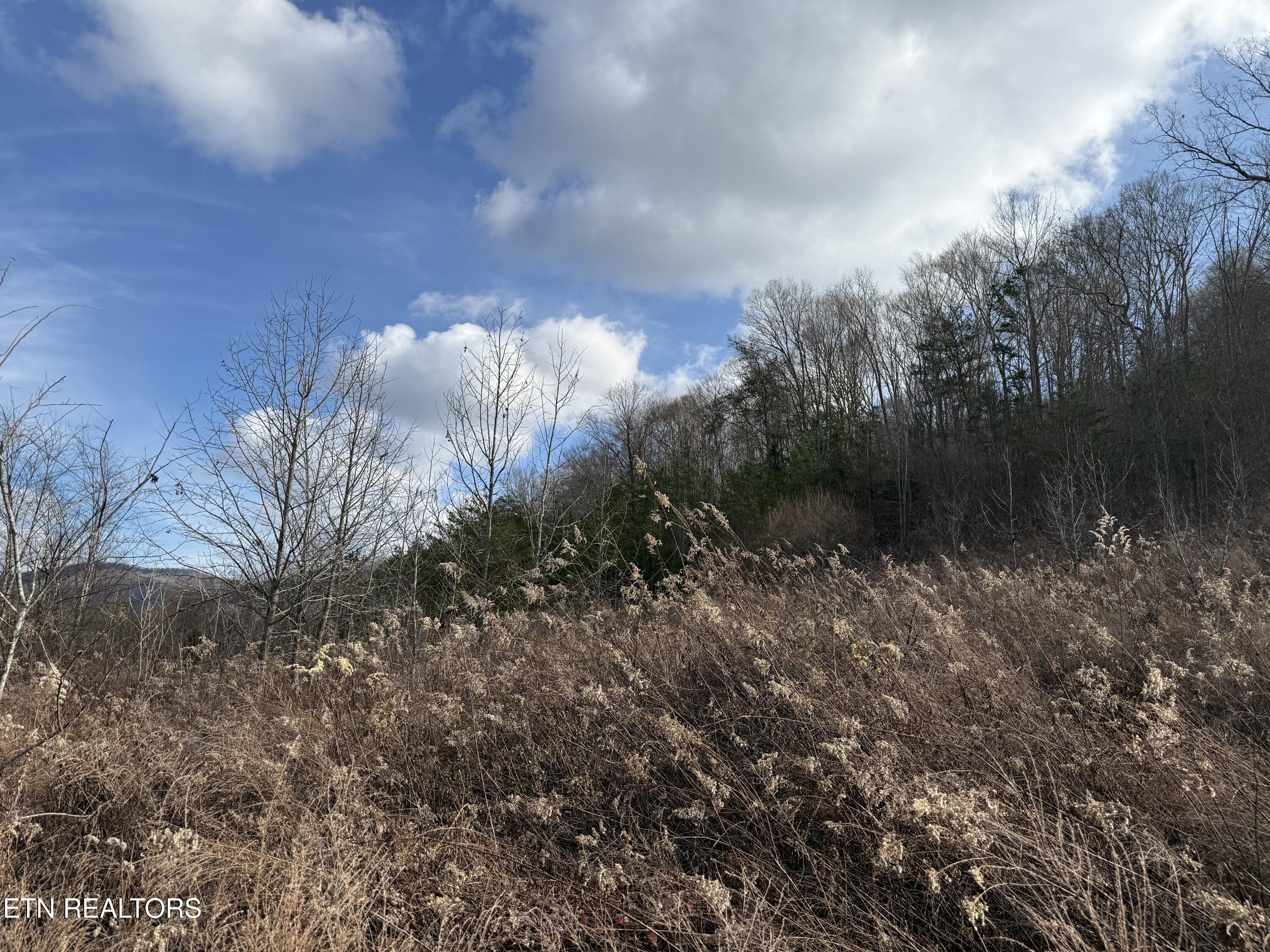 Tenn-ky State Line Tn Winfield TN 37892