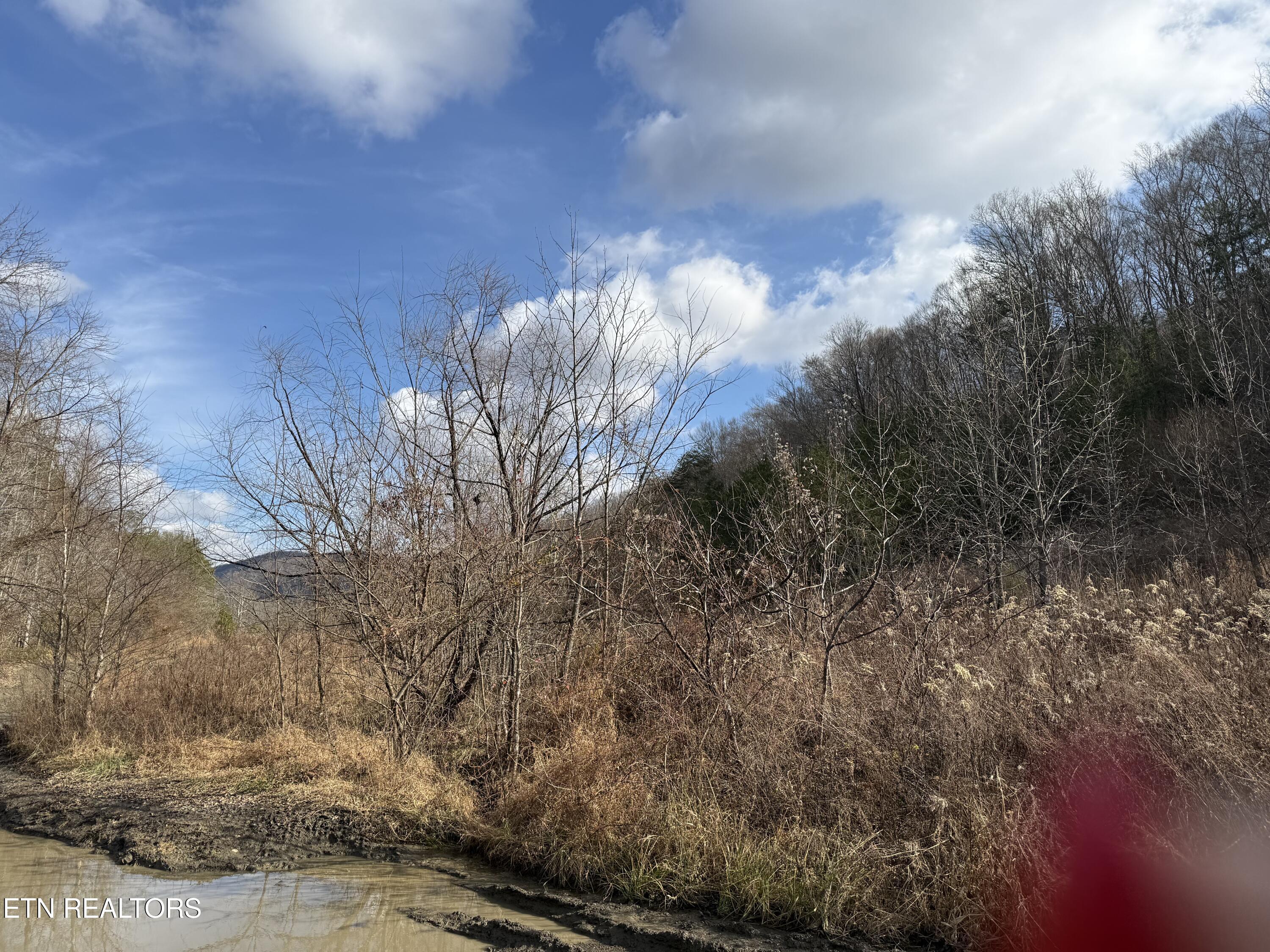 Tenn-ky State Line Tn Winfield TN 37892