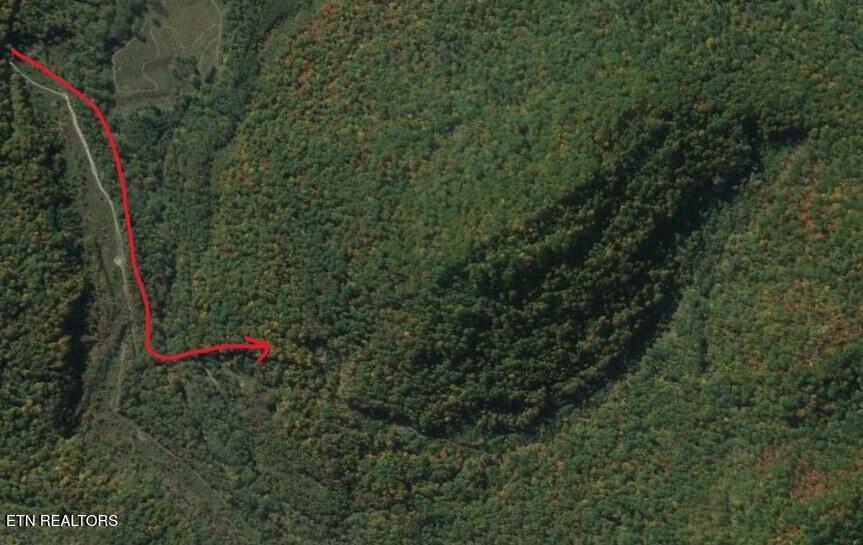 Tenn-ky State Line Tn Winfield TN 37892