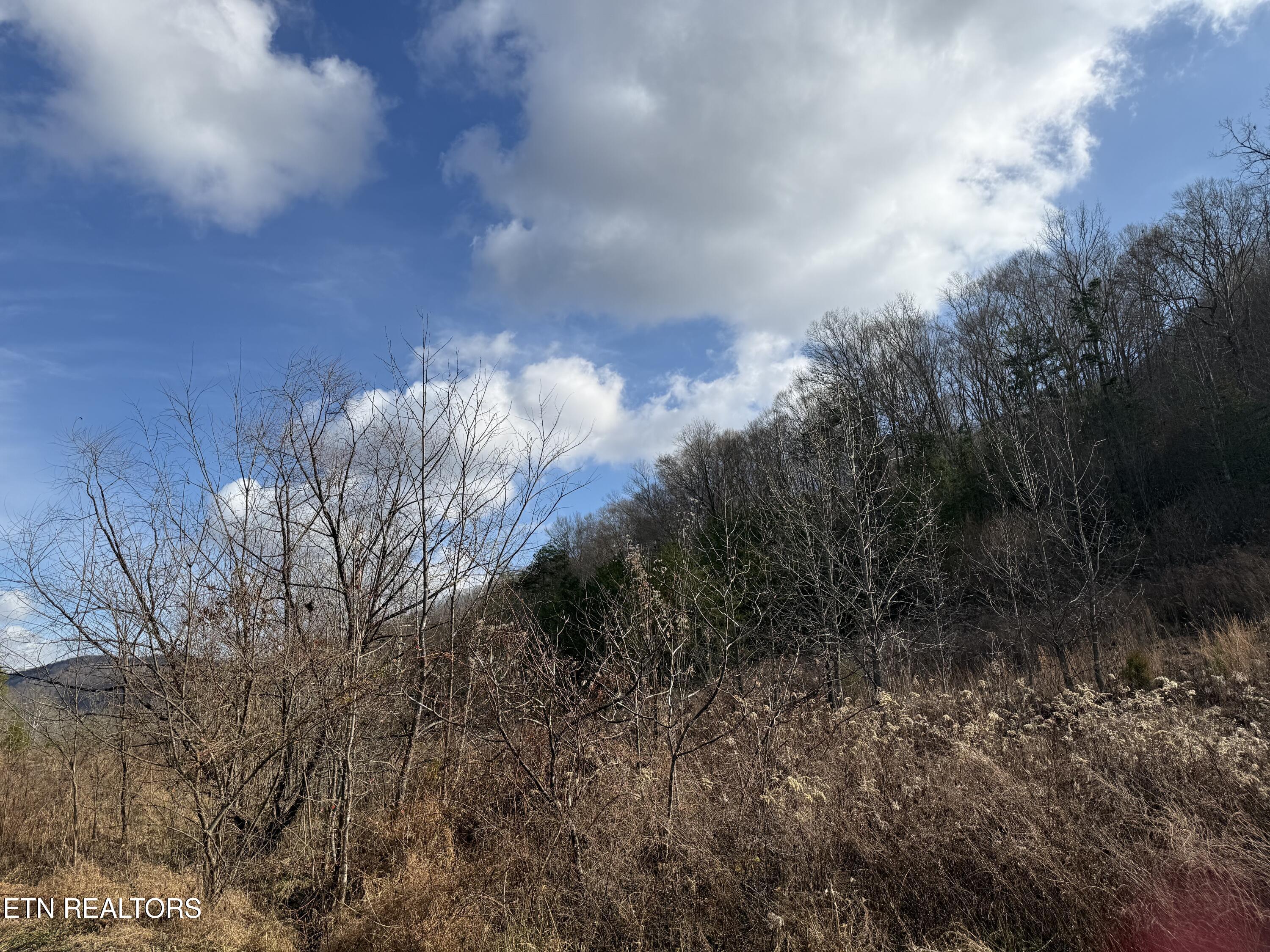 Tenn-ky State Line Tn Winfield TN 37892