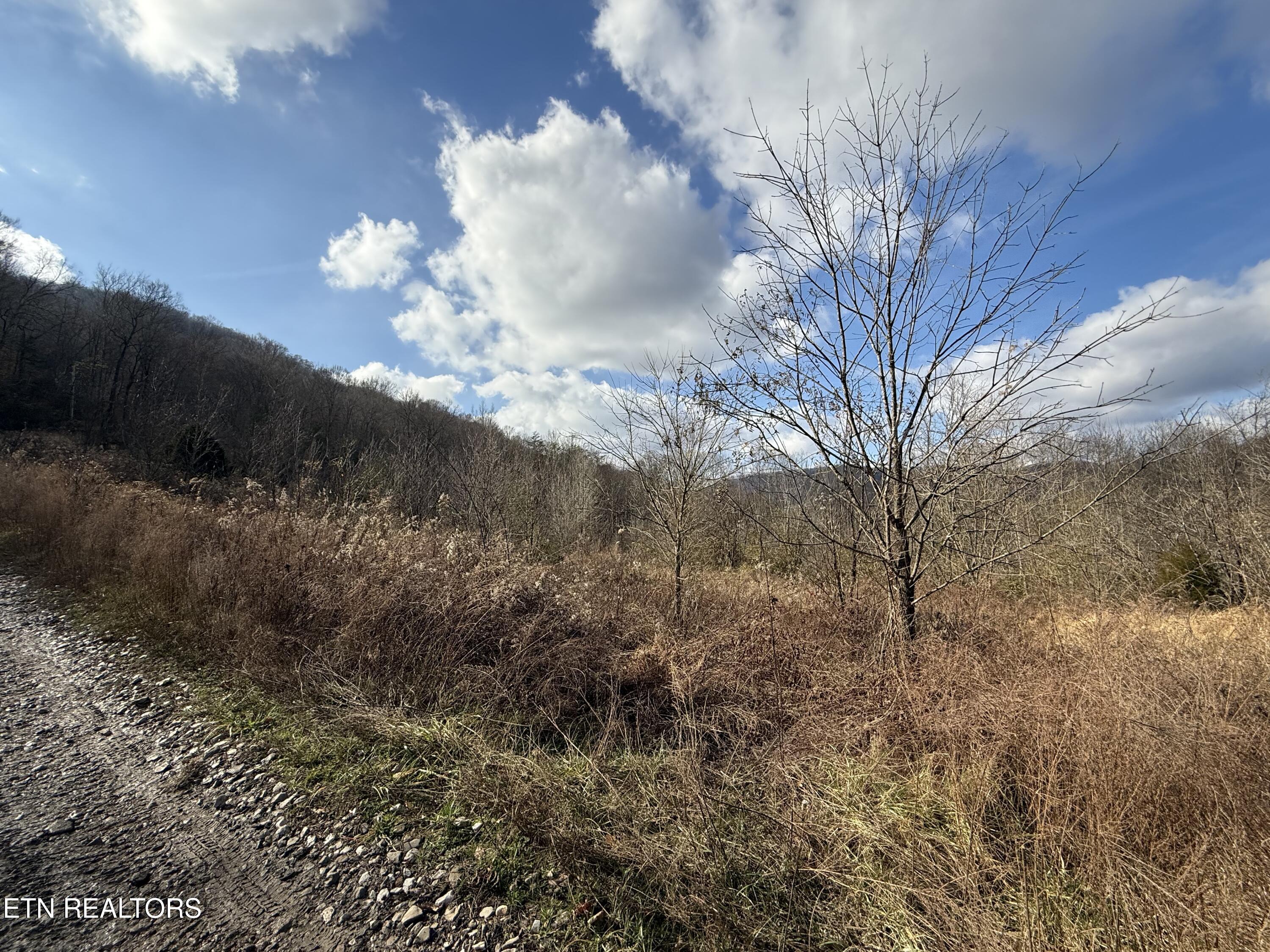 Tenn-ky State Line Tn Winfield TN 37892