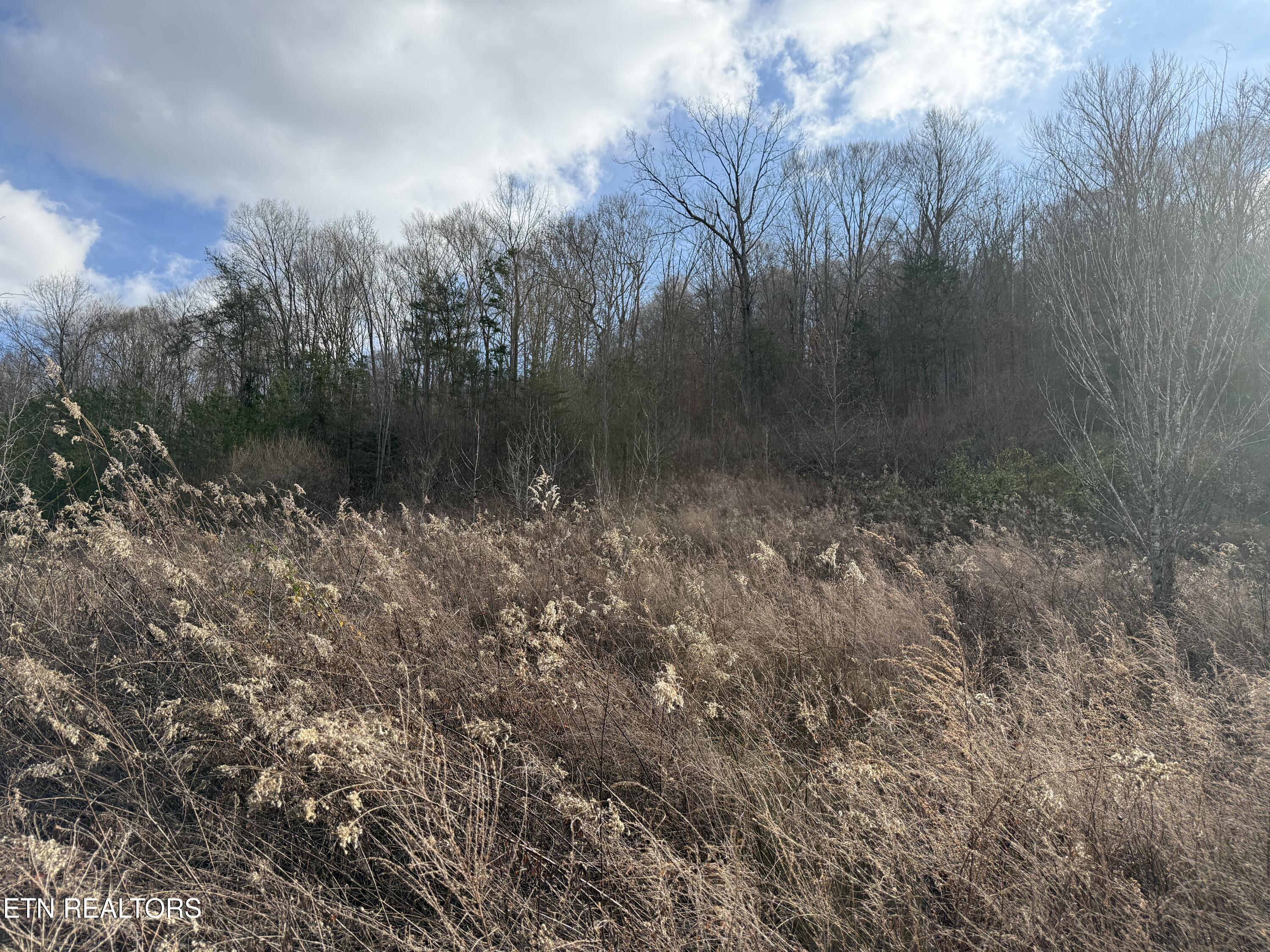 Tenn-ky State Line Tn Winfield TN 37892