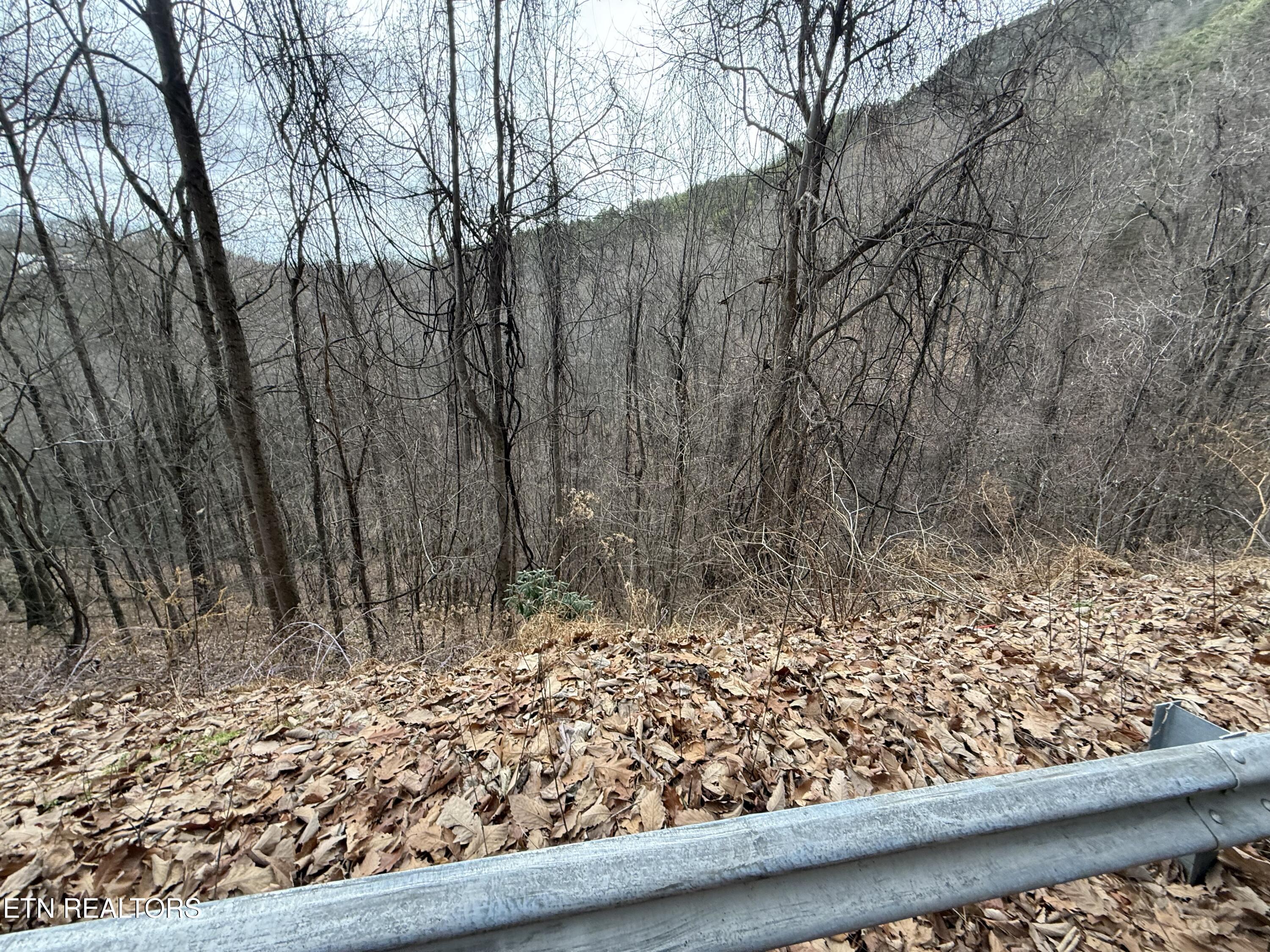 Lot 34 Alpine Drive Sevierville TN 37876