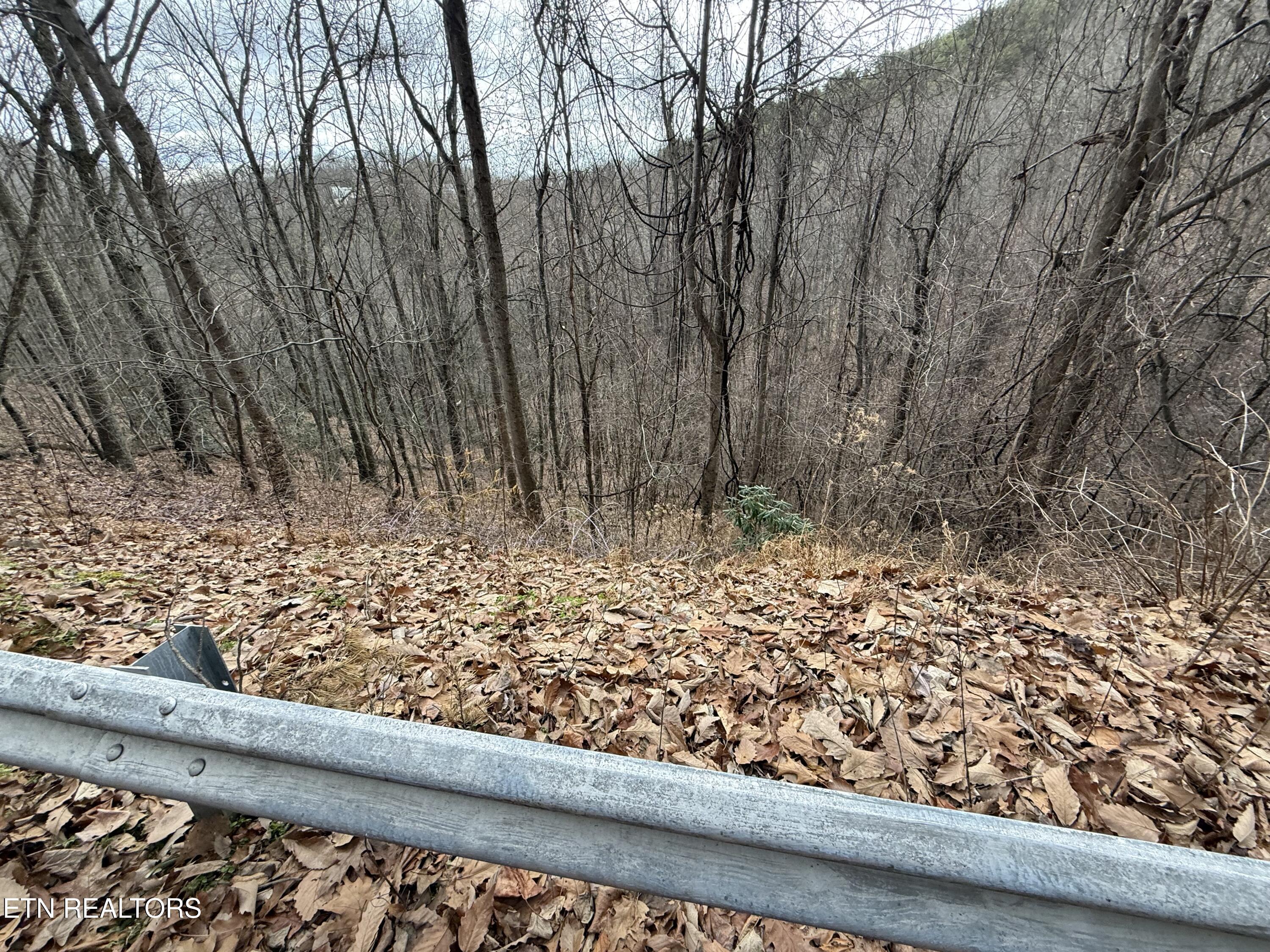 Lot 34 Alpine Drive Sevierville TN 37876