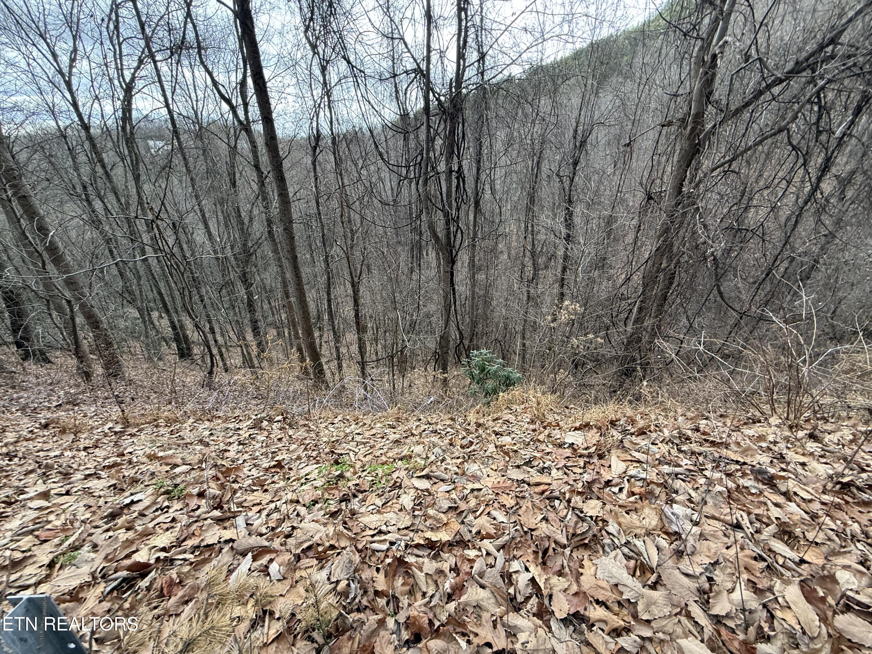 Lot 34 Alpine Drive Sevierville TN 37876