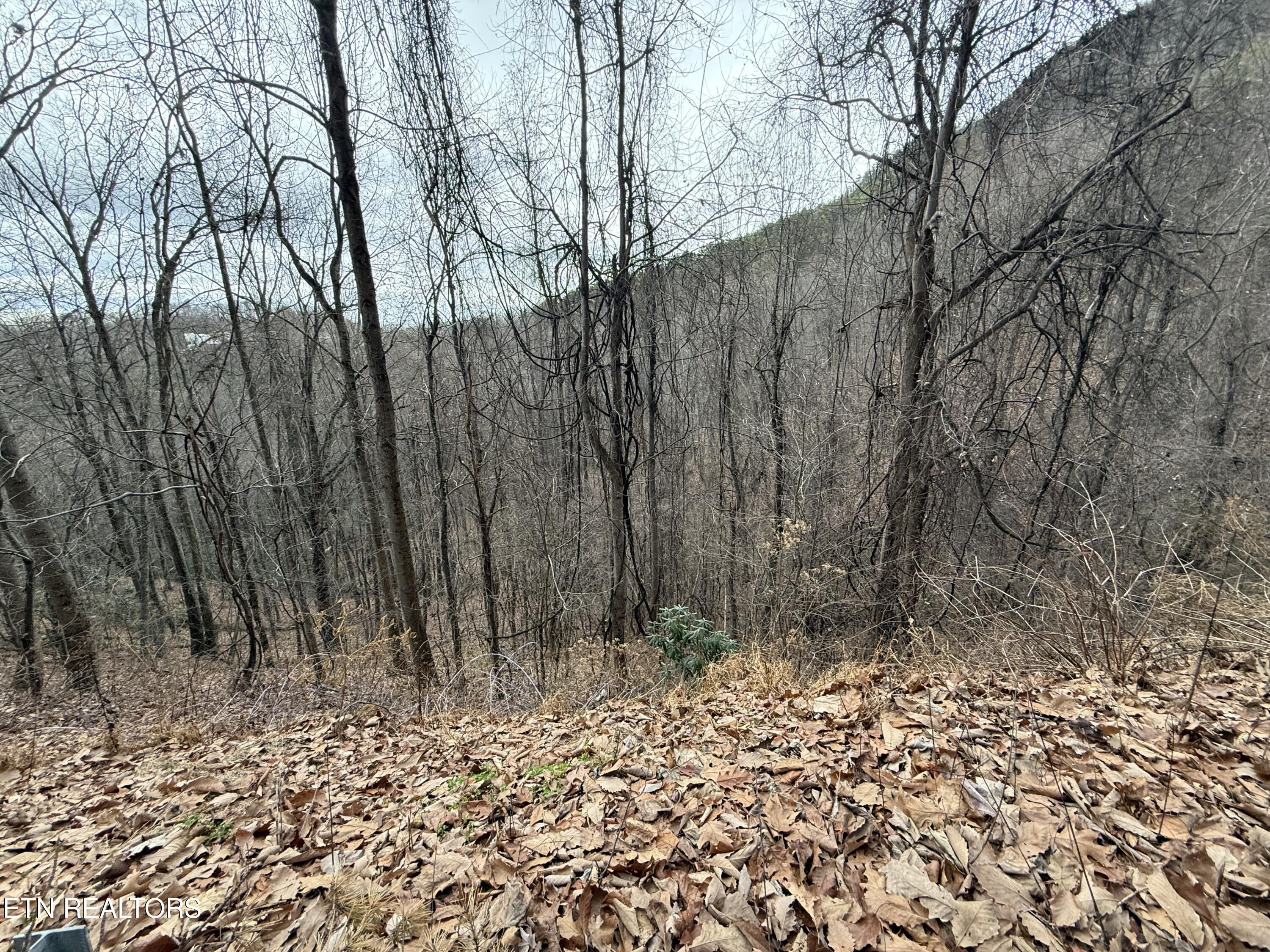 Lot 34 Alpine Drive Sevierville TN 37876