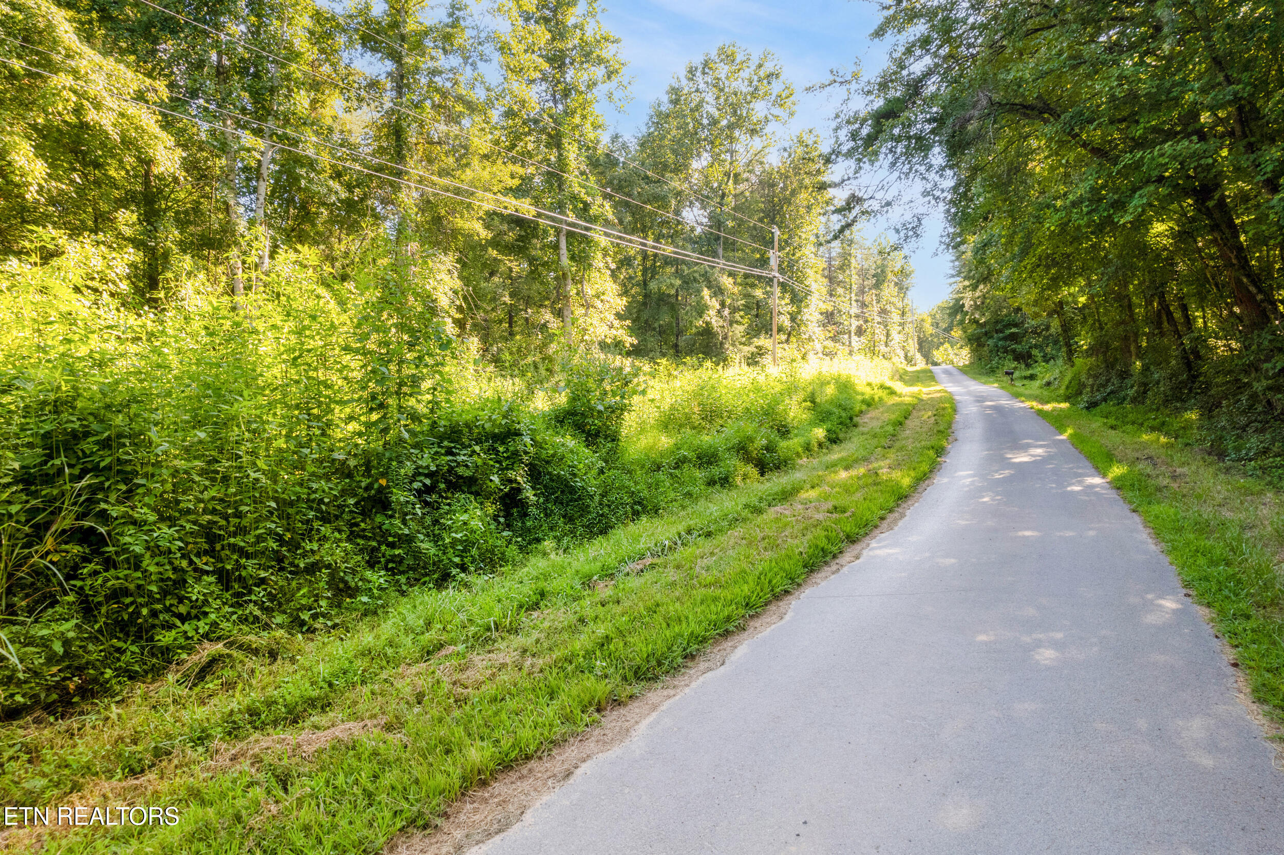 Steve Brown Road Bean Station TN 37708