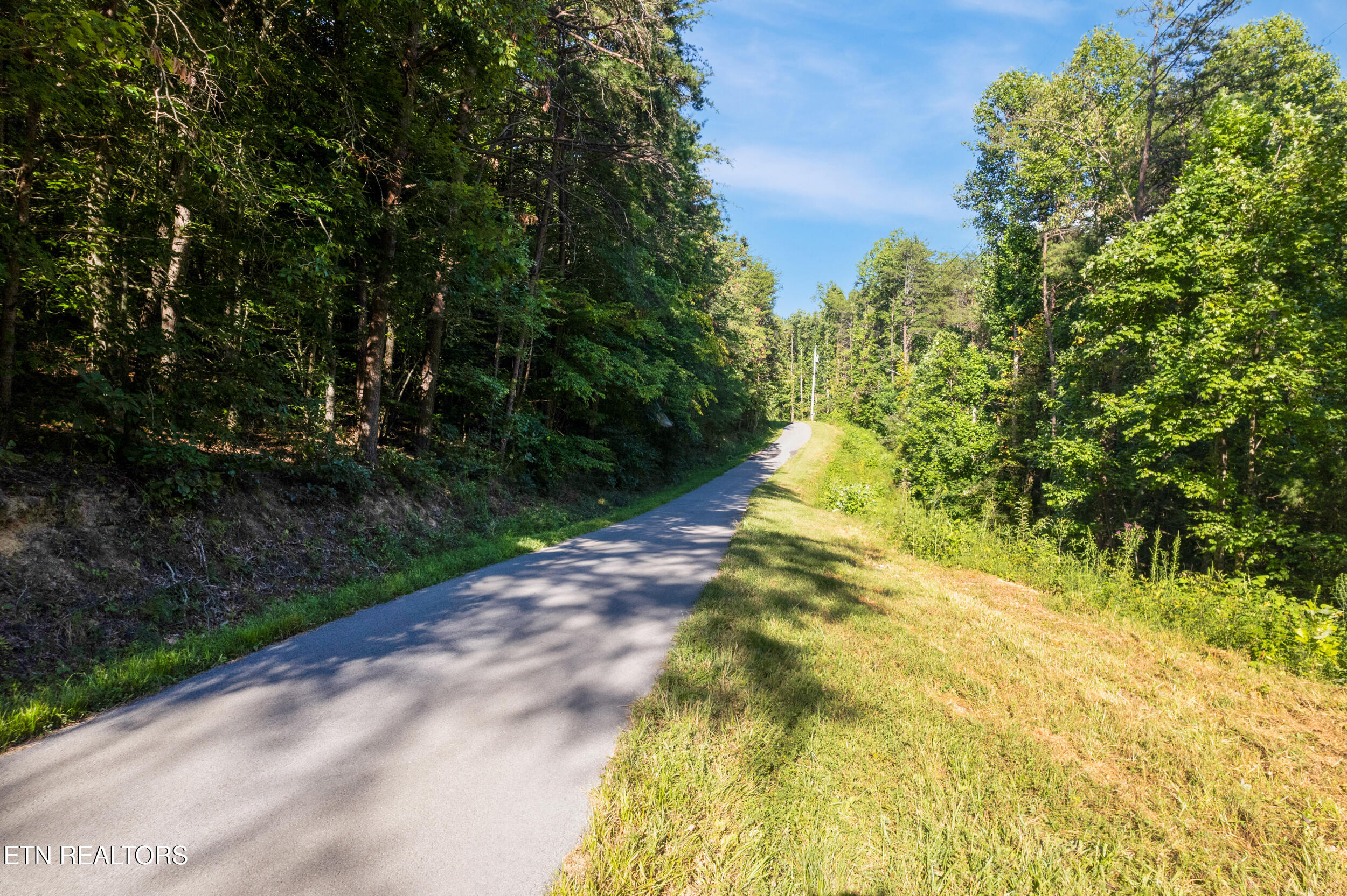 Steve Brown Road Bean Station TN 37708