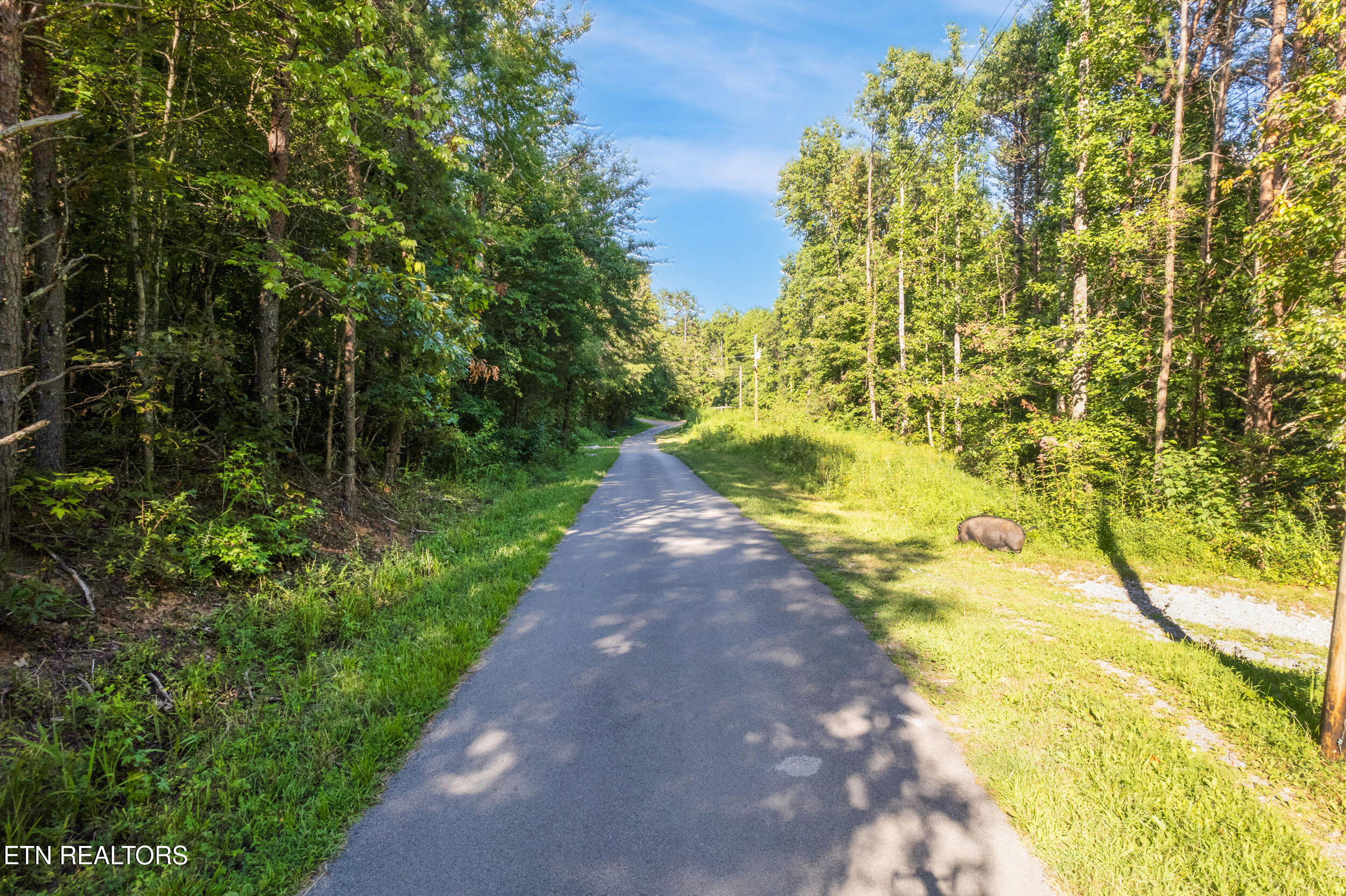 Steve Brown Road Bean Station TN 37708