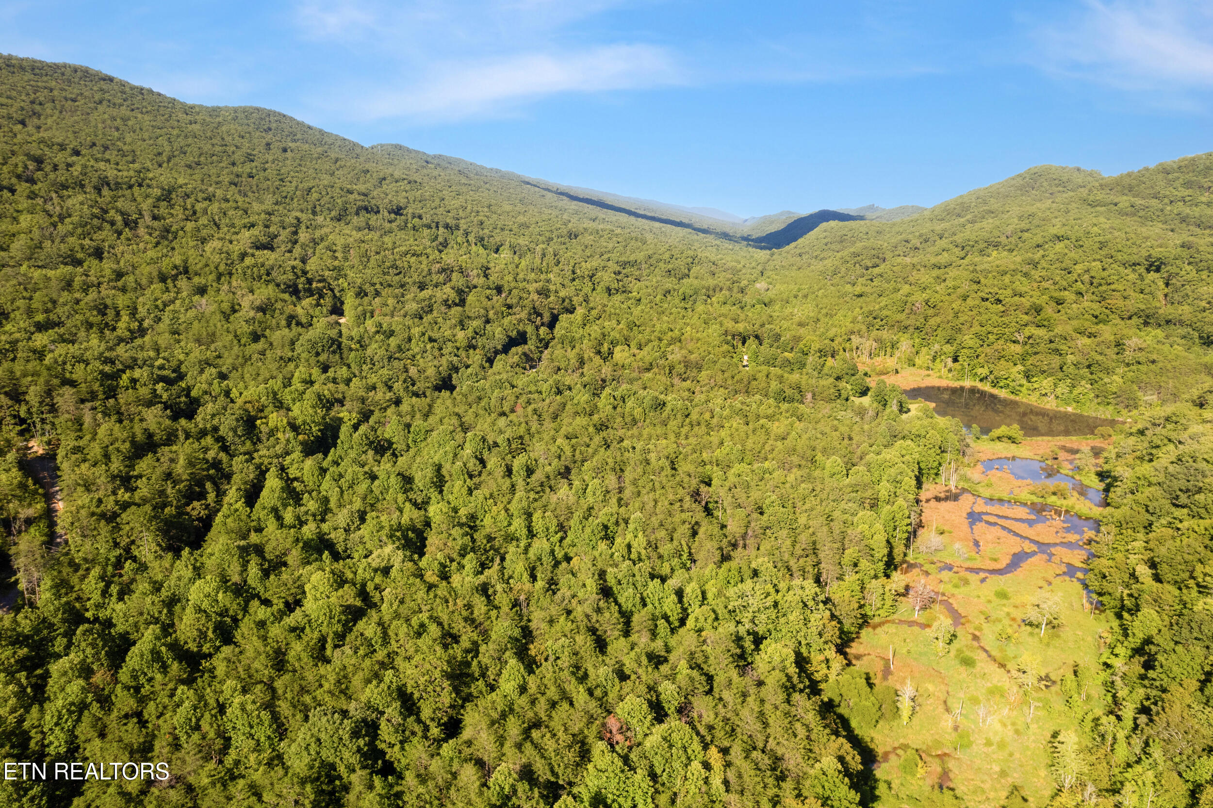 Steve Brown Road Bean Station TN 37708
