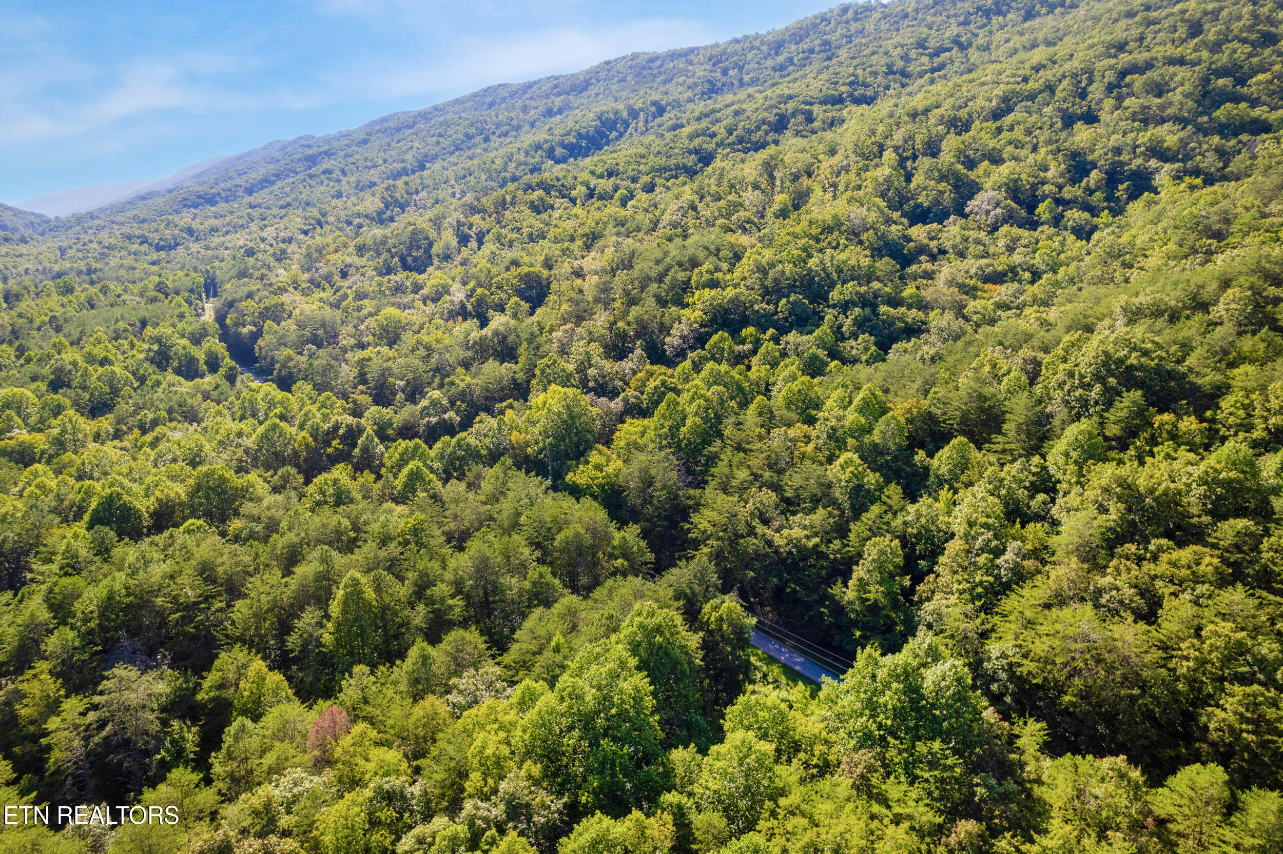 Steve Brown Road Bean Station TN 37708