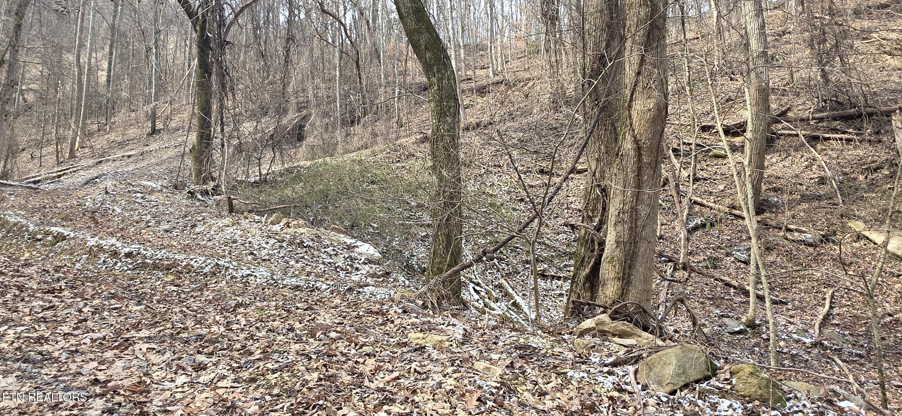 Lot 4 Balsam Slopes Road Sevierville TN 37862
