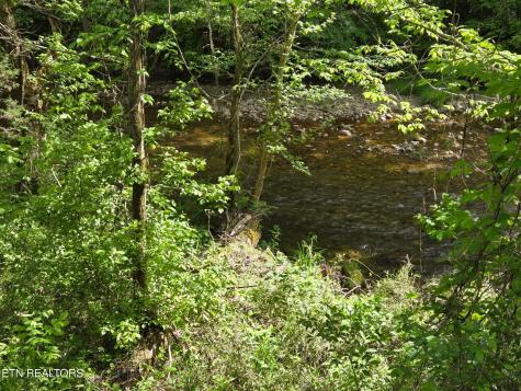 Old 15th Road Del Rio TN 37727
