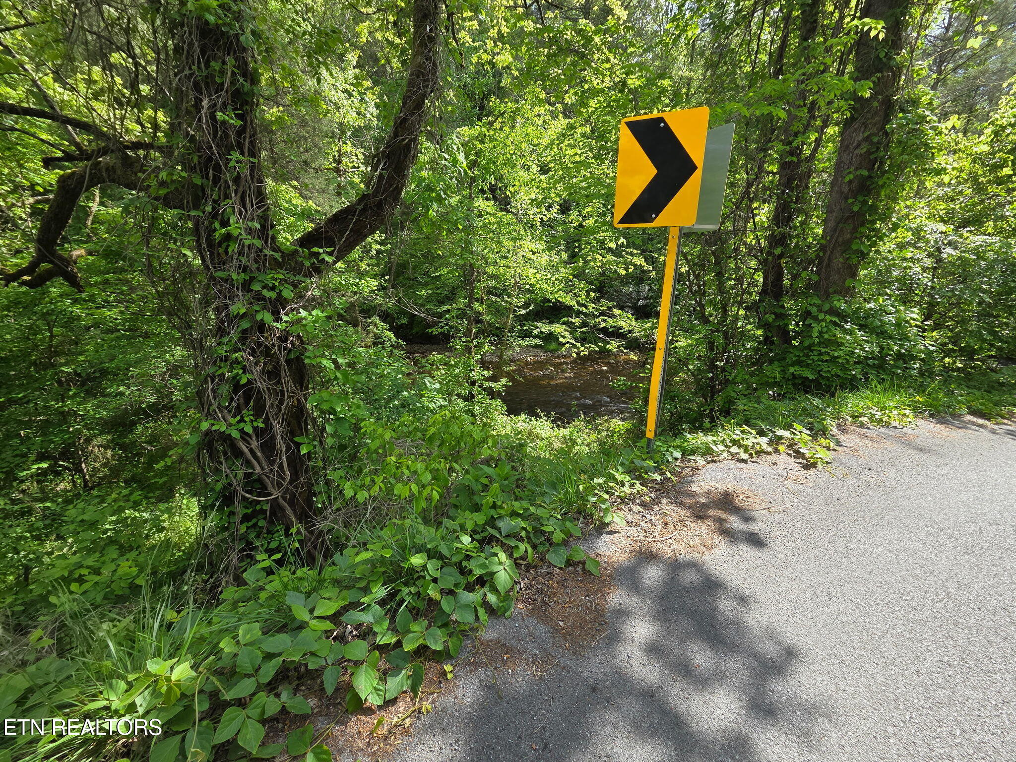 Old 15th Road Del Rio TN 37727
