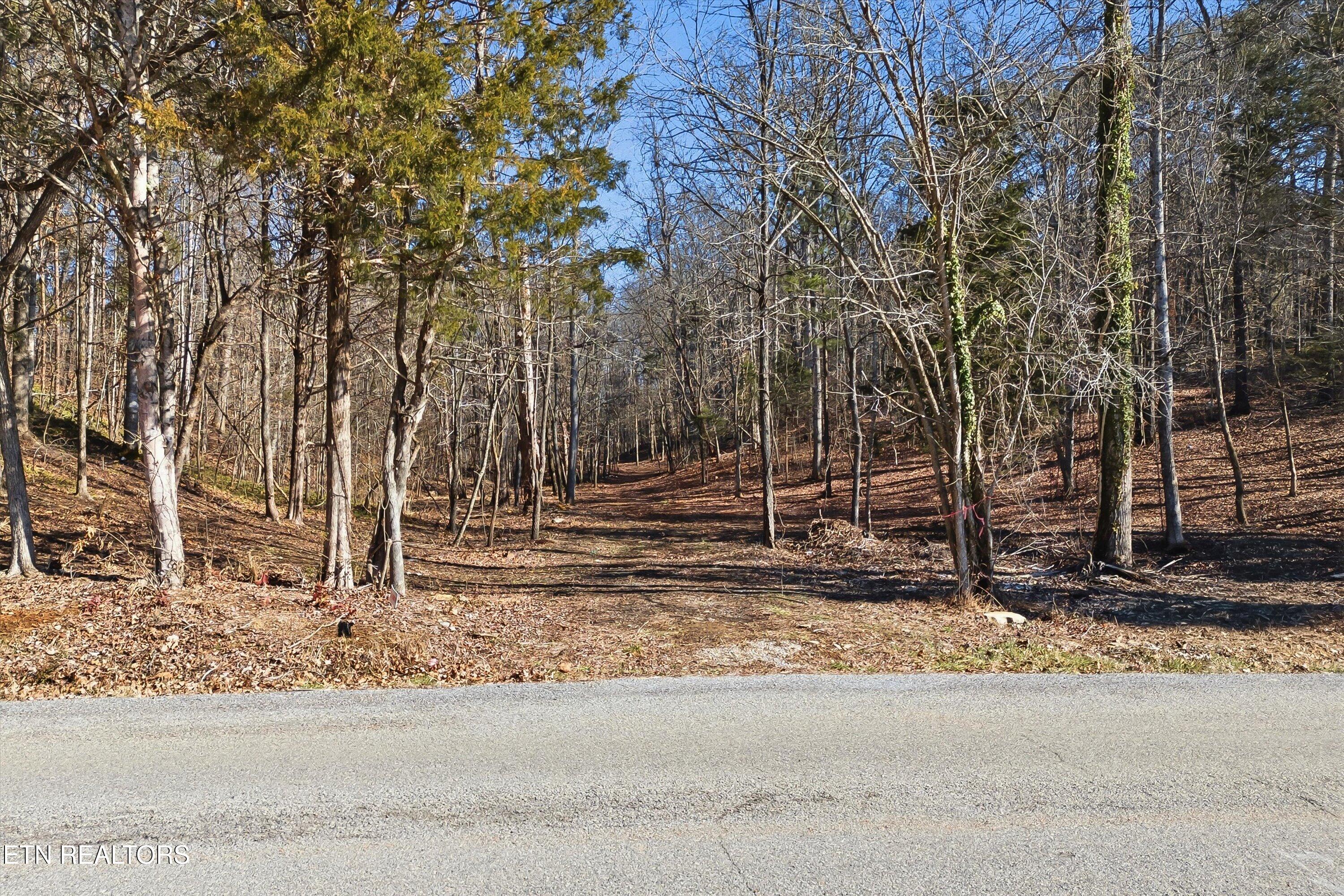 265 Jd Farm Road Tellico Plains TN 37385
