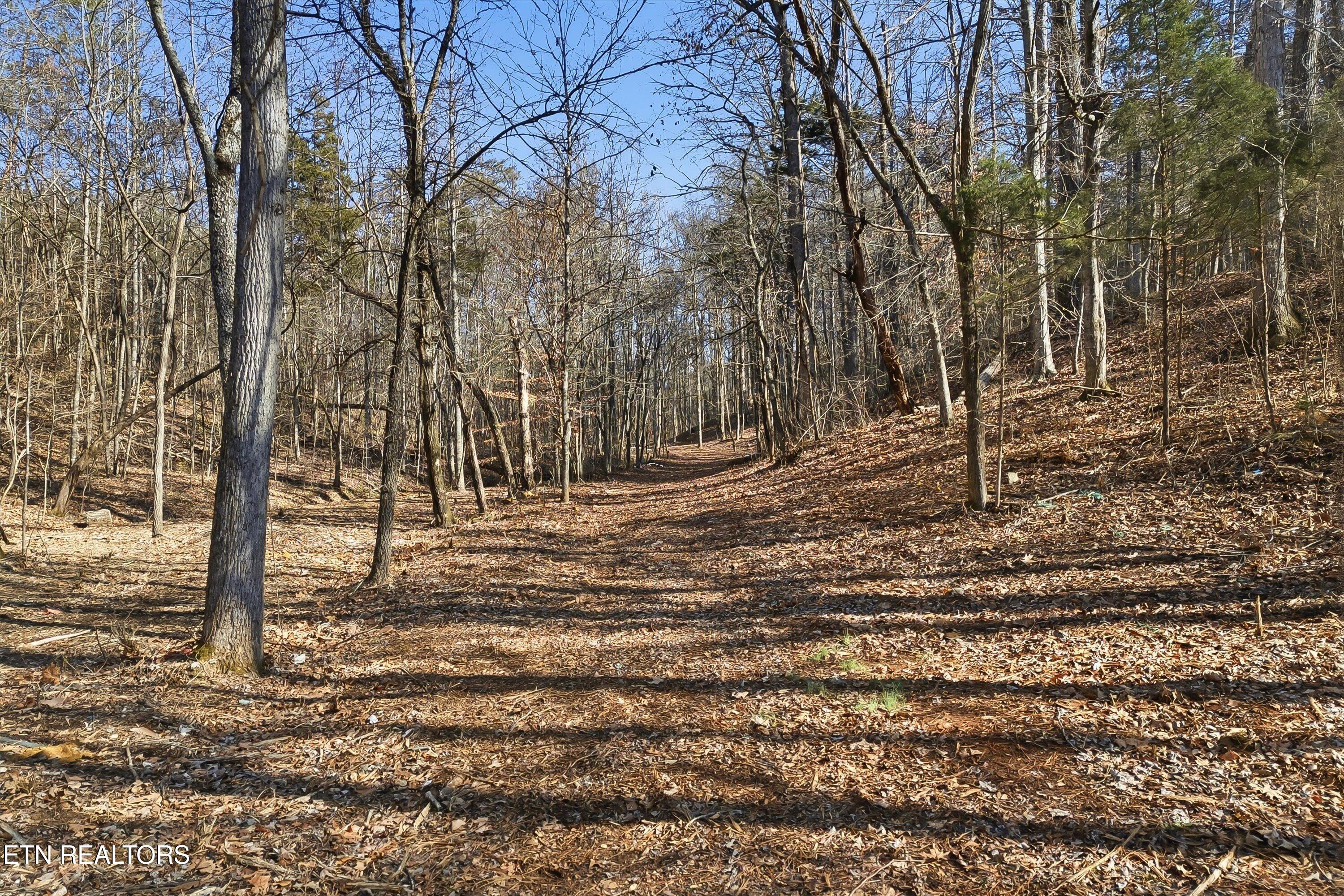 265 Jd Farm Road Tellico Plains TN 37385