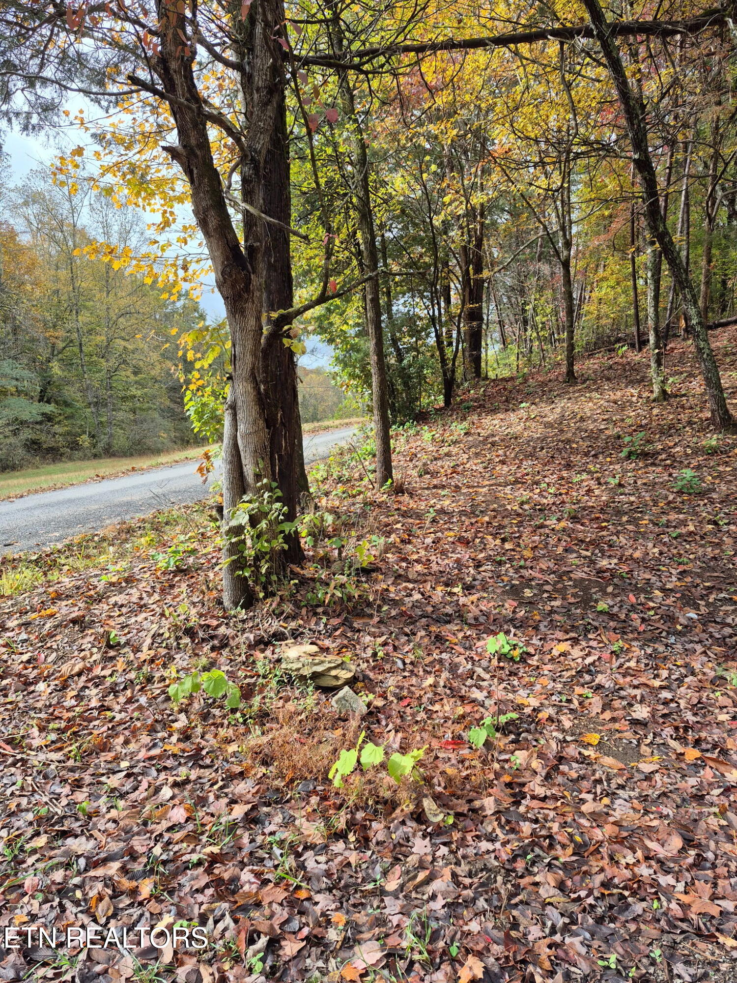 265 Jd Farm Road Tellico Plains TN 37385