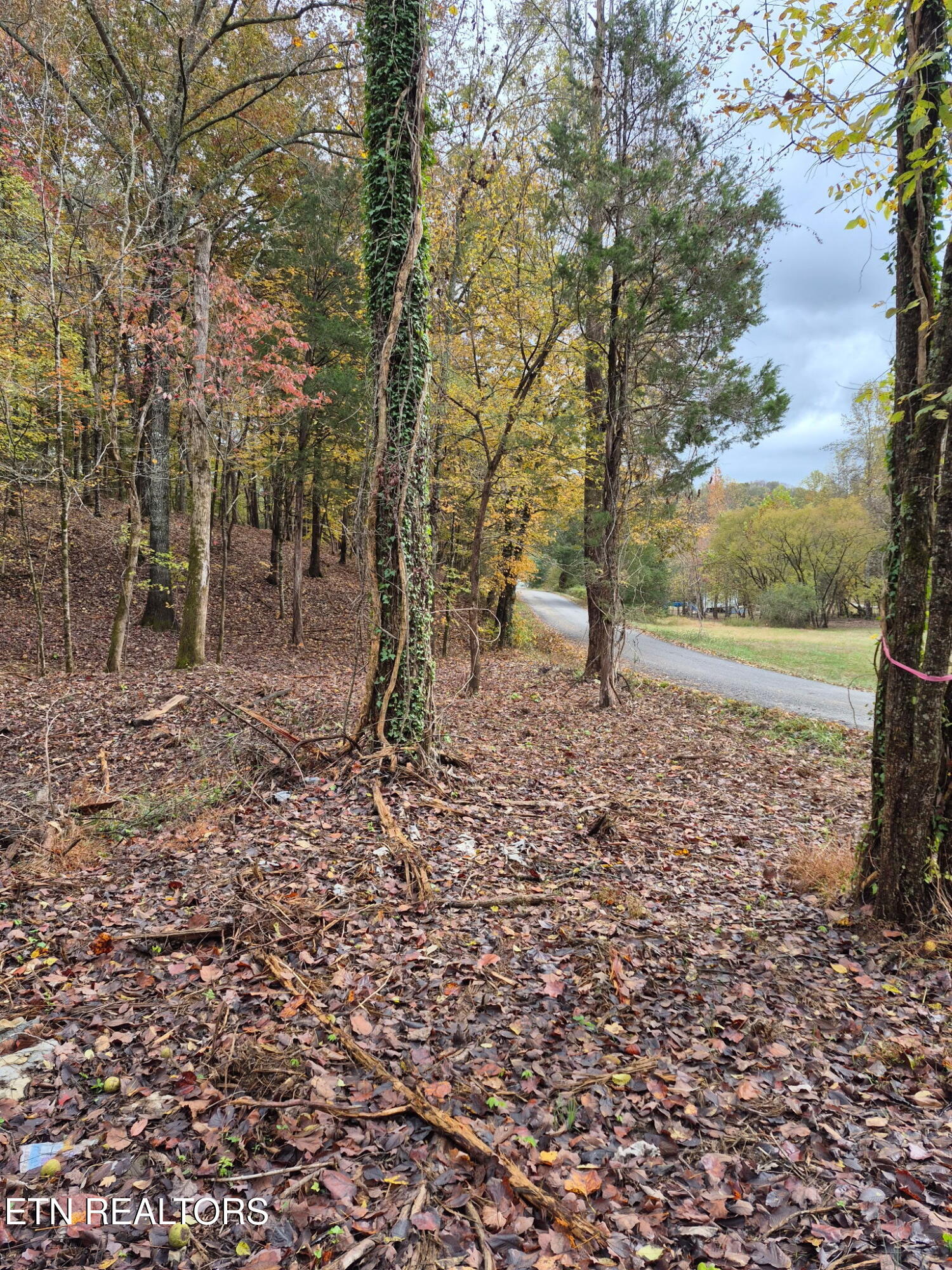 265 Jd Farm Road Tellico Plains TN 37385