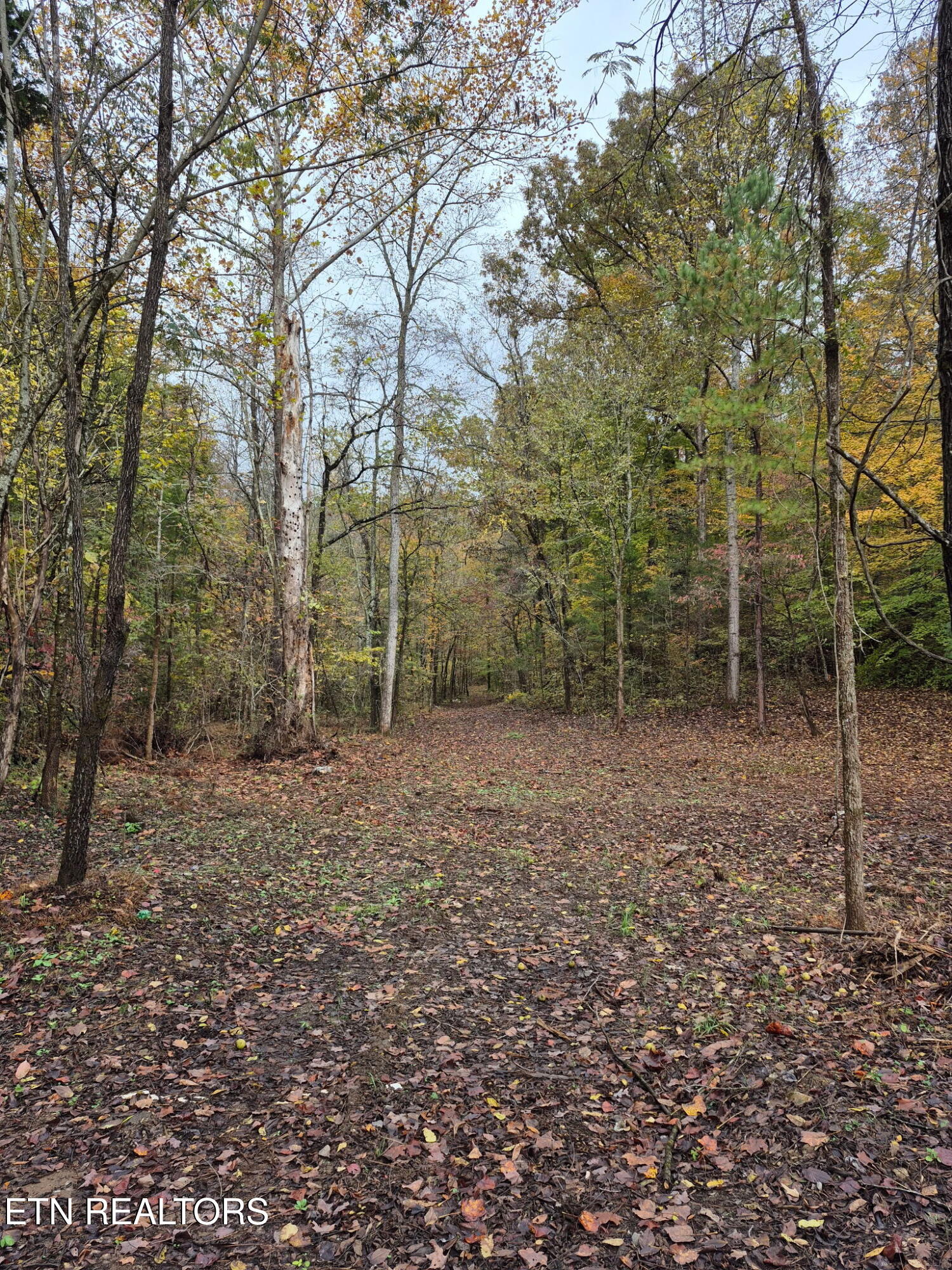 265 Jd Farm Road Tellico Plains TN 37385