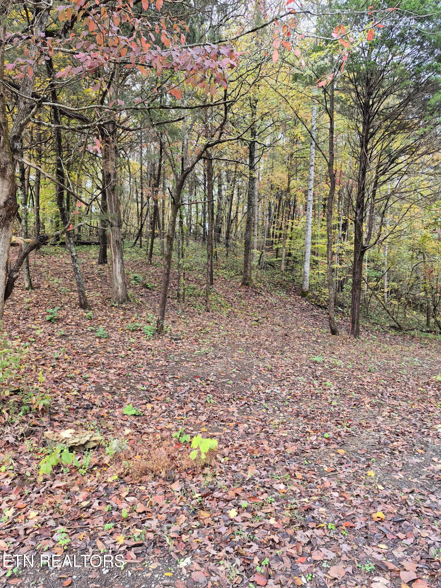 265 Jd Farm Road Tellico Plains TN 37385