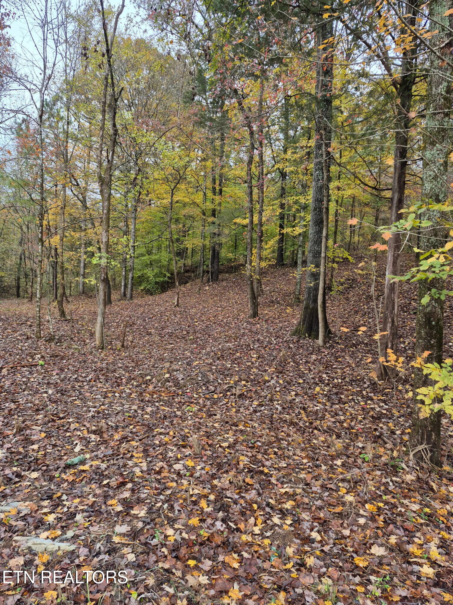 265 Jd Farm Road Tellico Plains TN 37385
