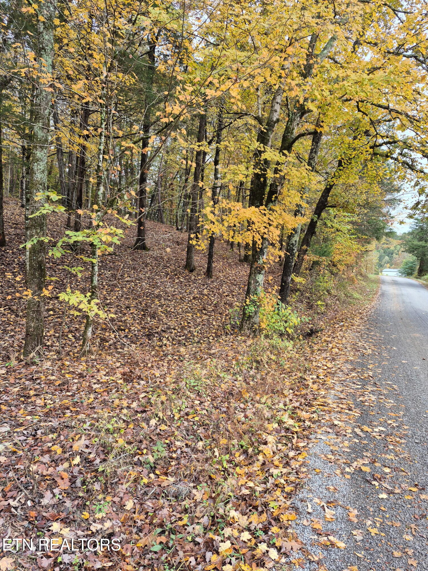 265 Jd Farm Road Tellico Plains TN 37385