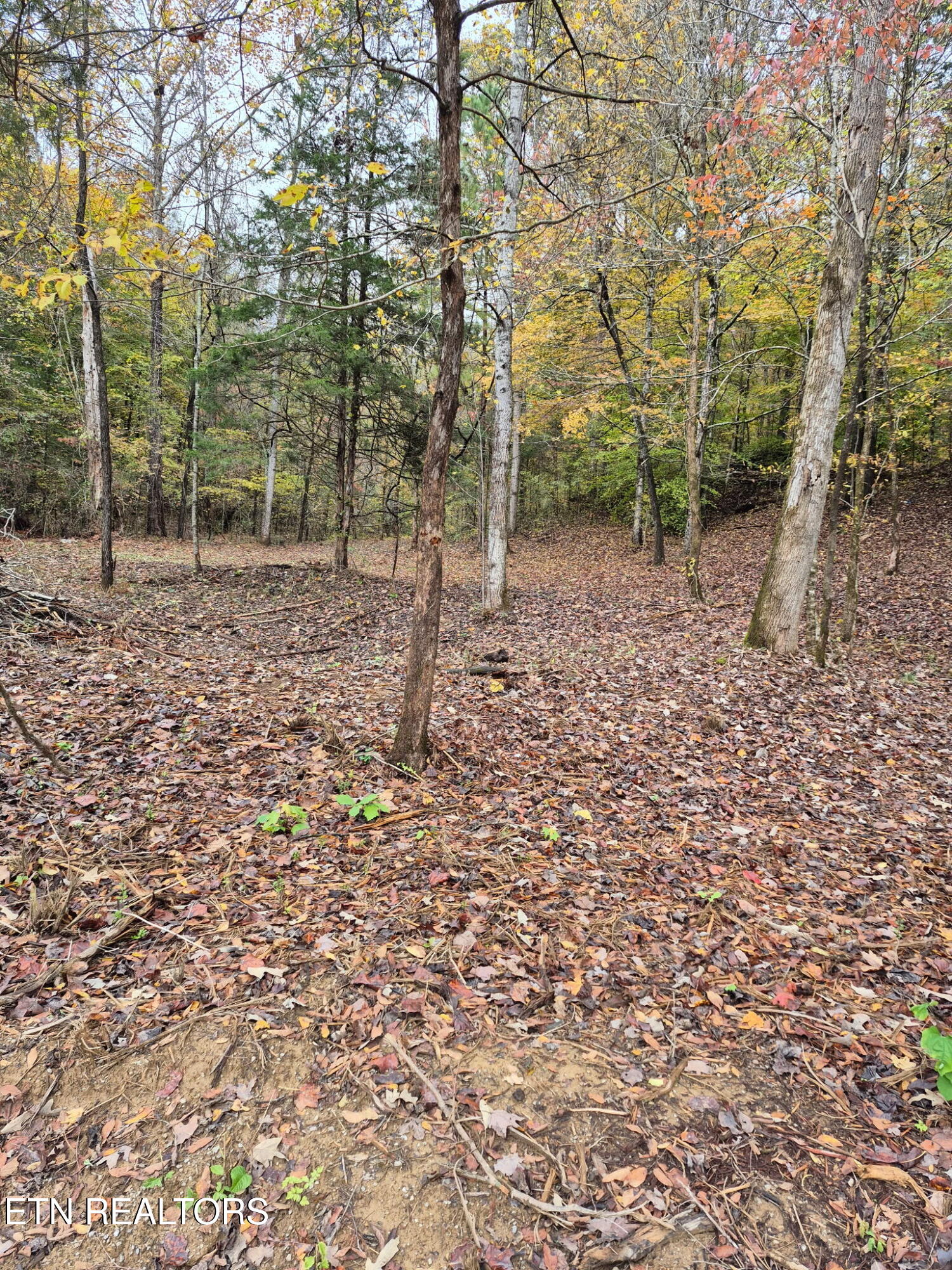 265 Jd Farm Road Tellico Plains TN 37385