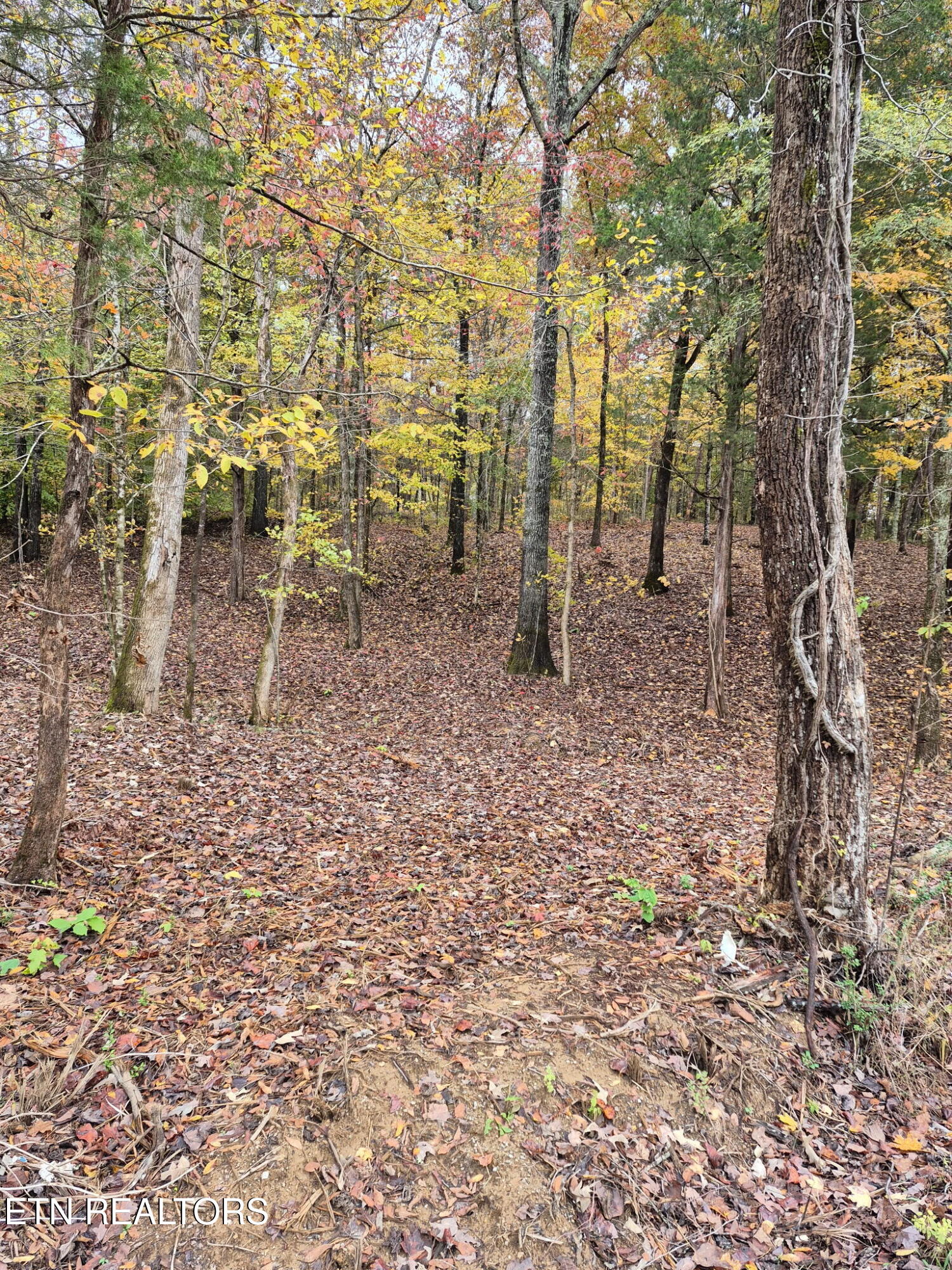 265 Jd Farm Road Tellico Plains TN 37385