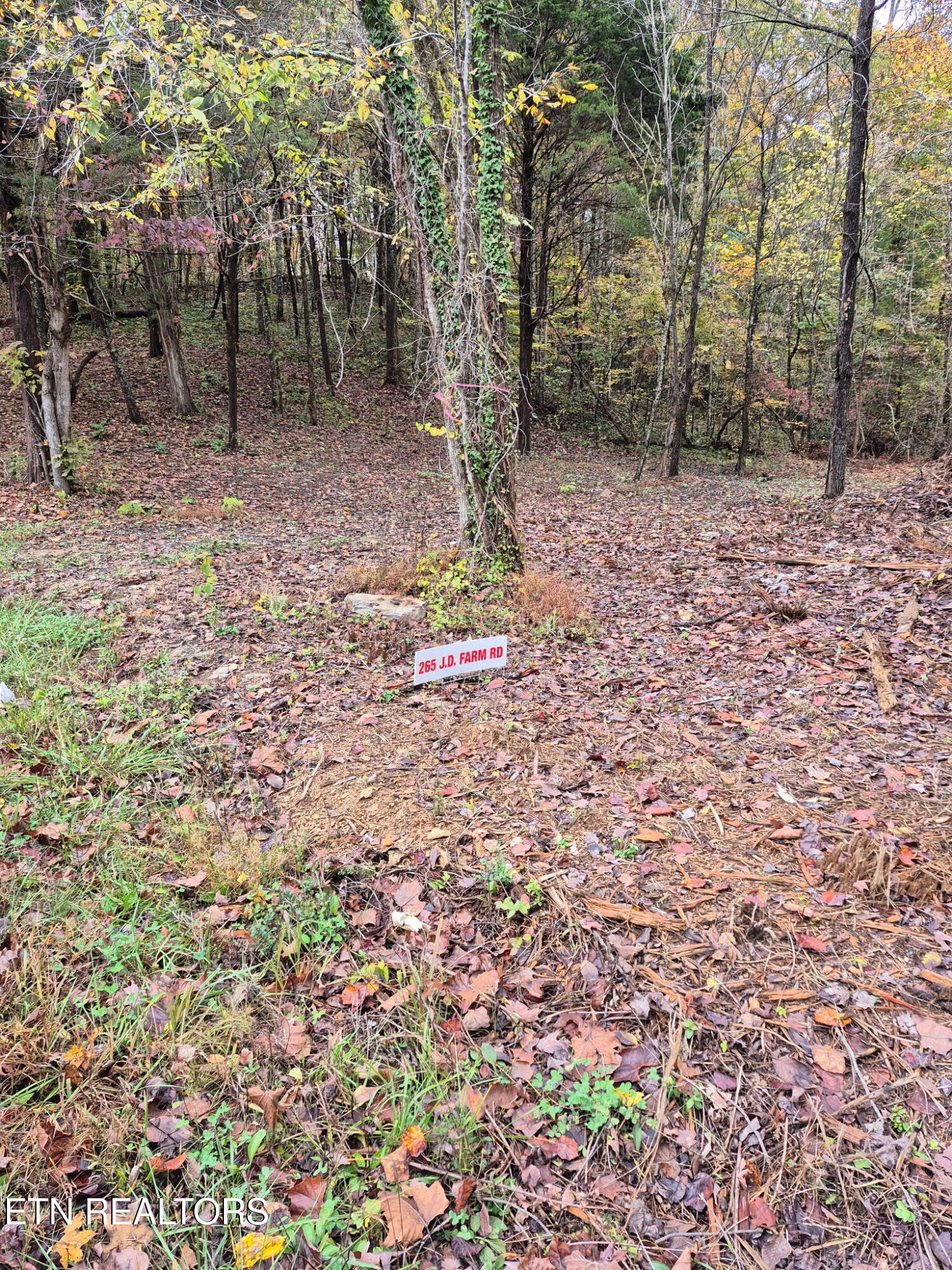265 Jd Farm Road Tellico Plains TN 37385