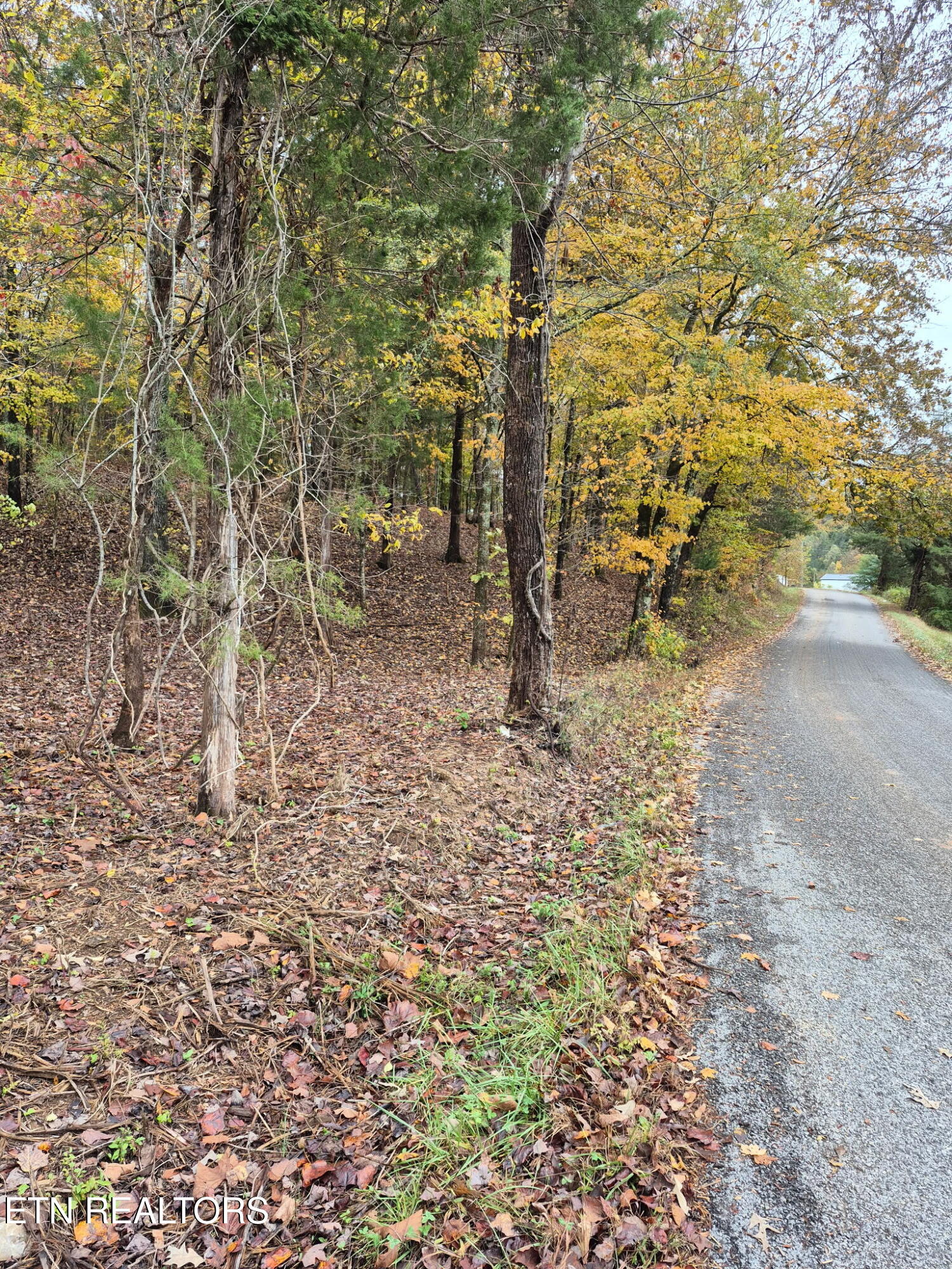 265 Jd Farm Road Tellico Plains TN 37385