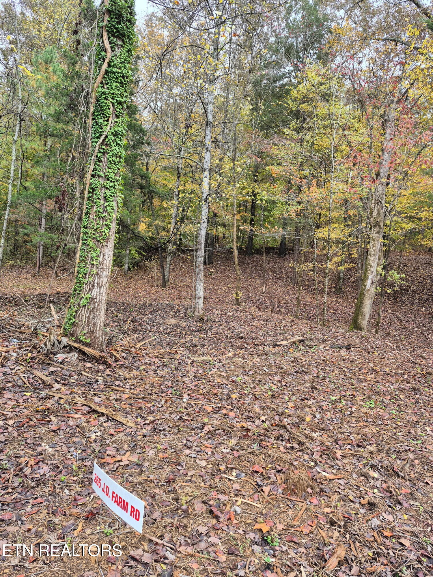 265 Jd Farm Road Tellico Plains TN 37385