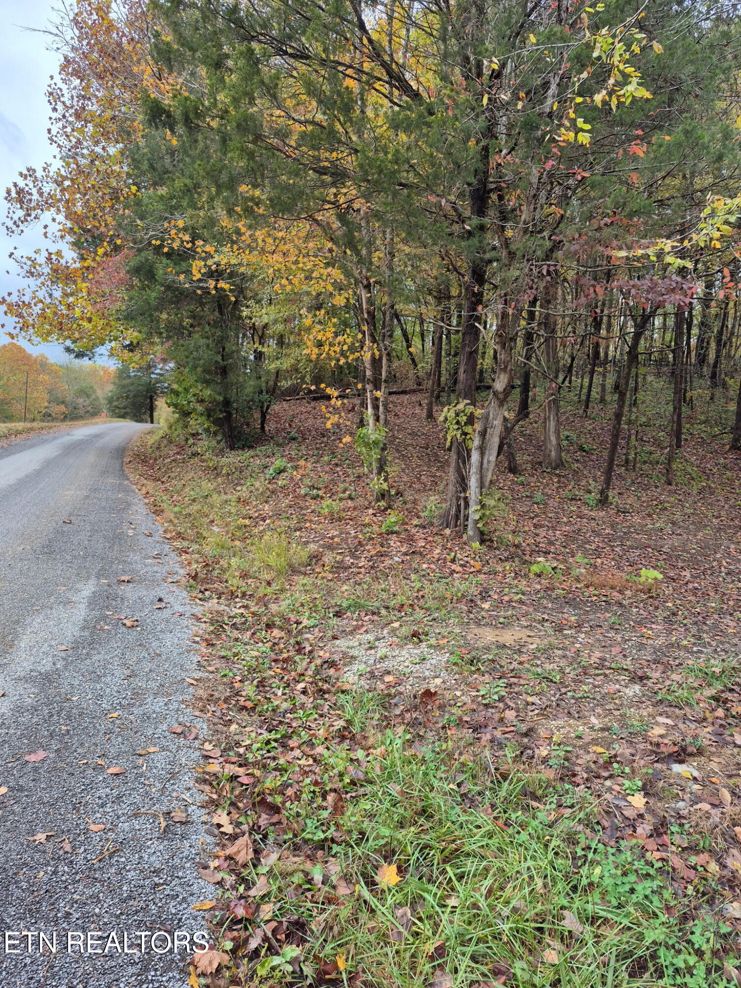 265 Jd Farm Road Tellico Plains TN 37385