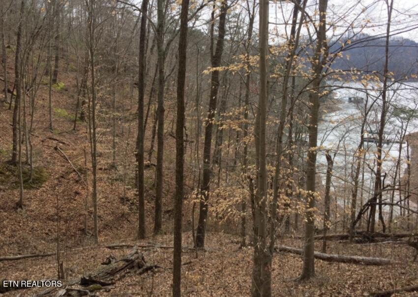 1340 Lakeview Drive Sharps Chapel TN 37866