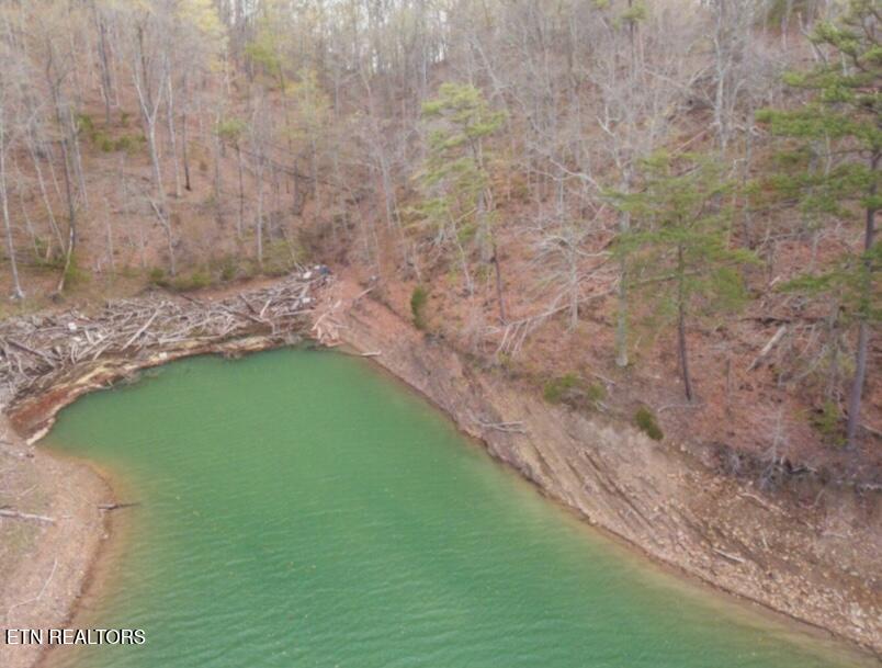 1340 Lakeview Drive Sharps Chapel TN 37866