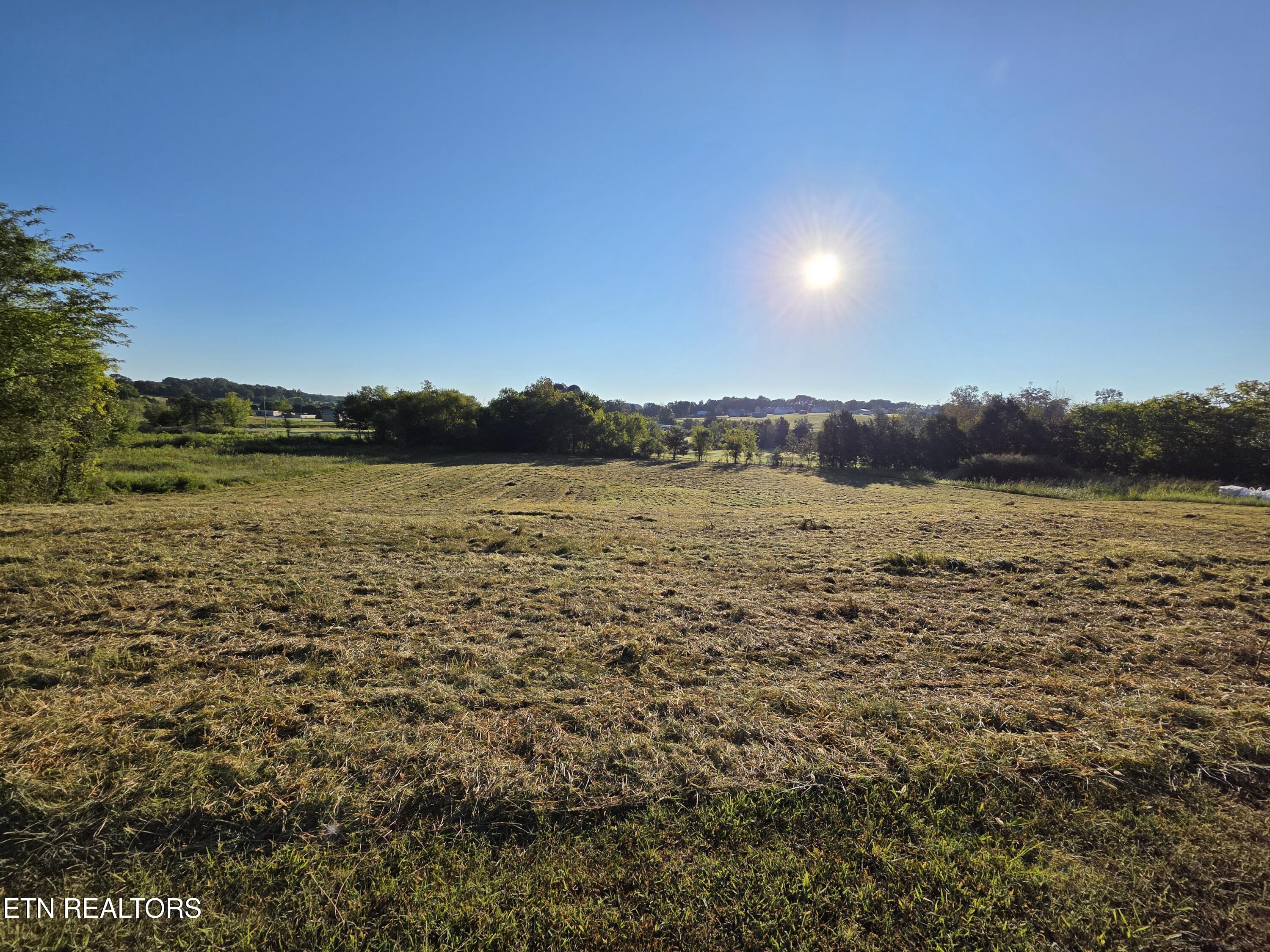 Savannah Lane Madisonville TN 37354