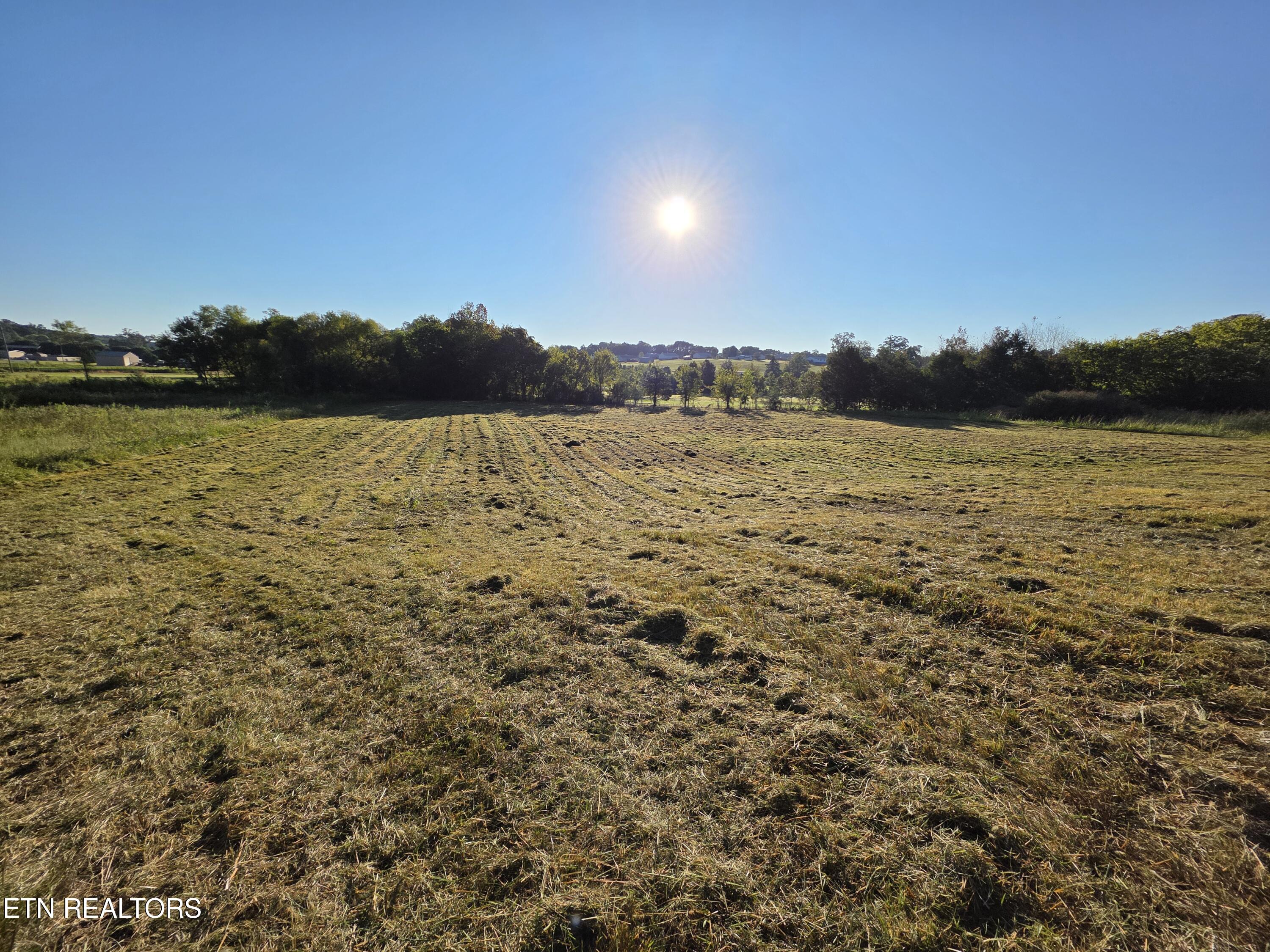 Savannah Lane Madisonville TN 37354