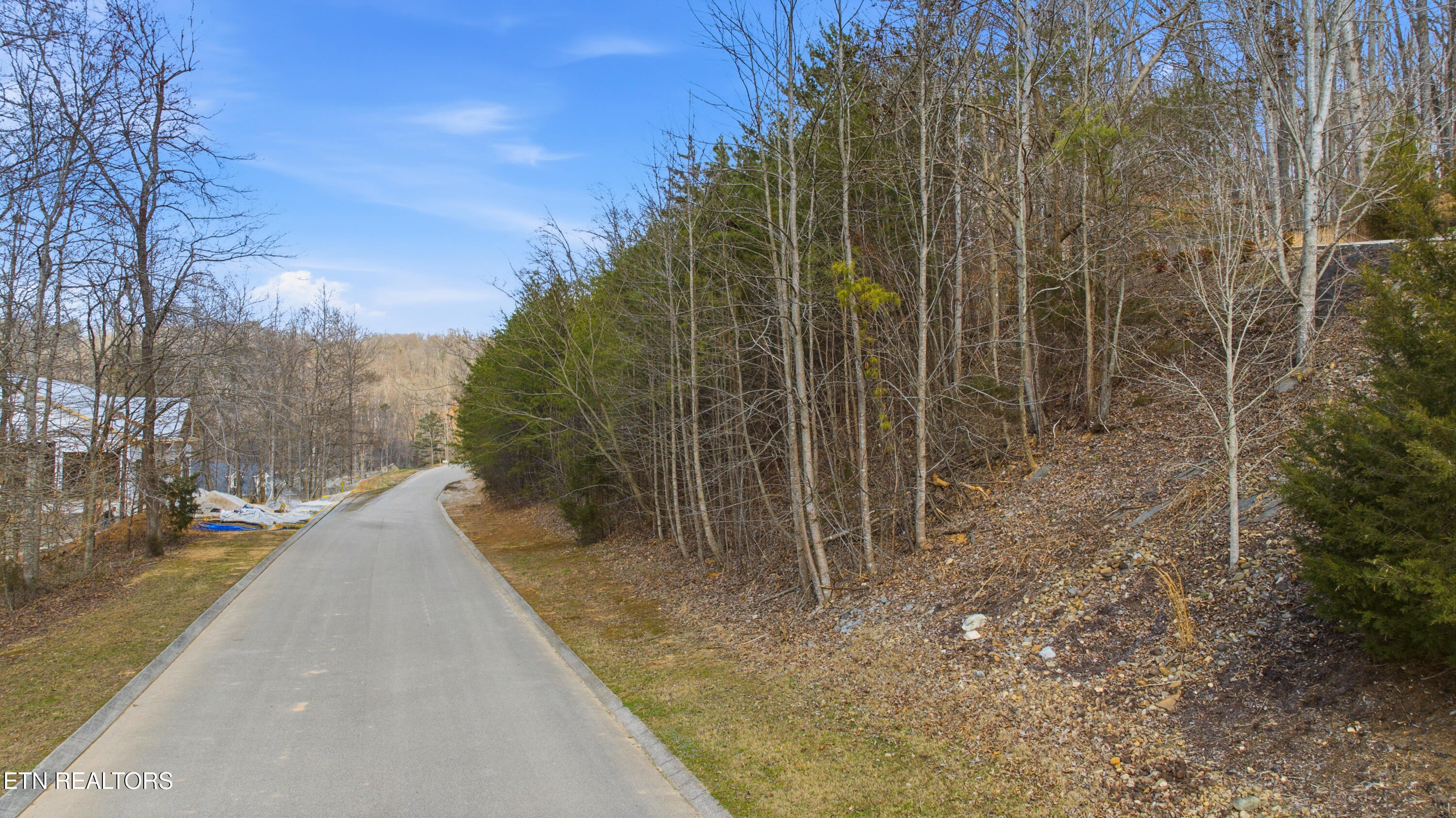 Lot 161, The Battery Kingston TN 37763