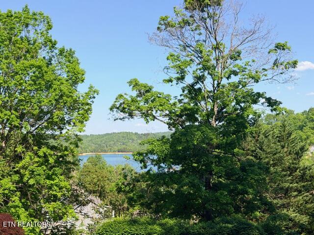 Shanghai Lake Lane Lafollette TN 37766
