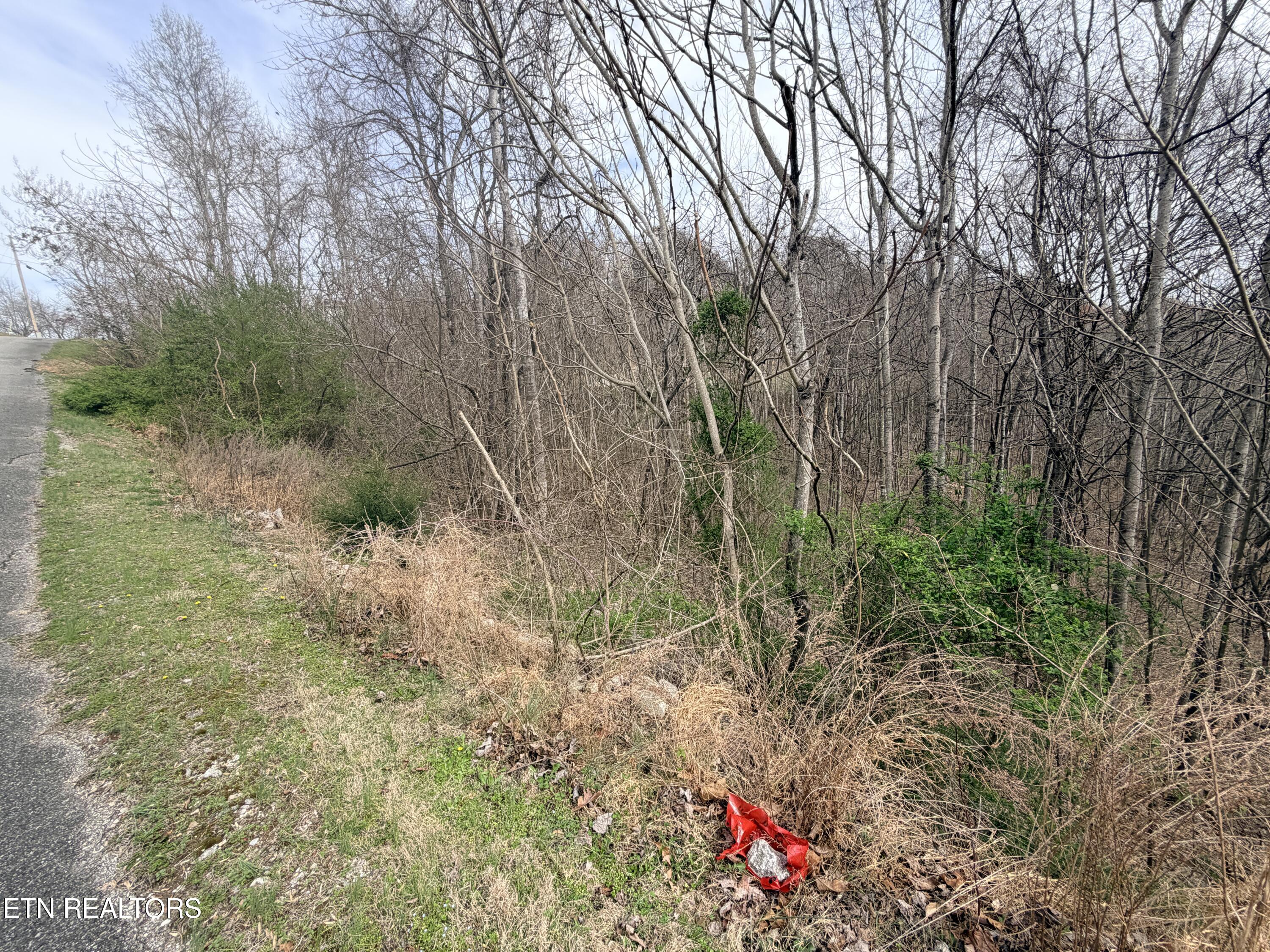 Shanghai Lake Lane Lafollette TN 37766