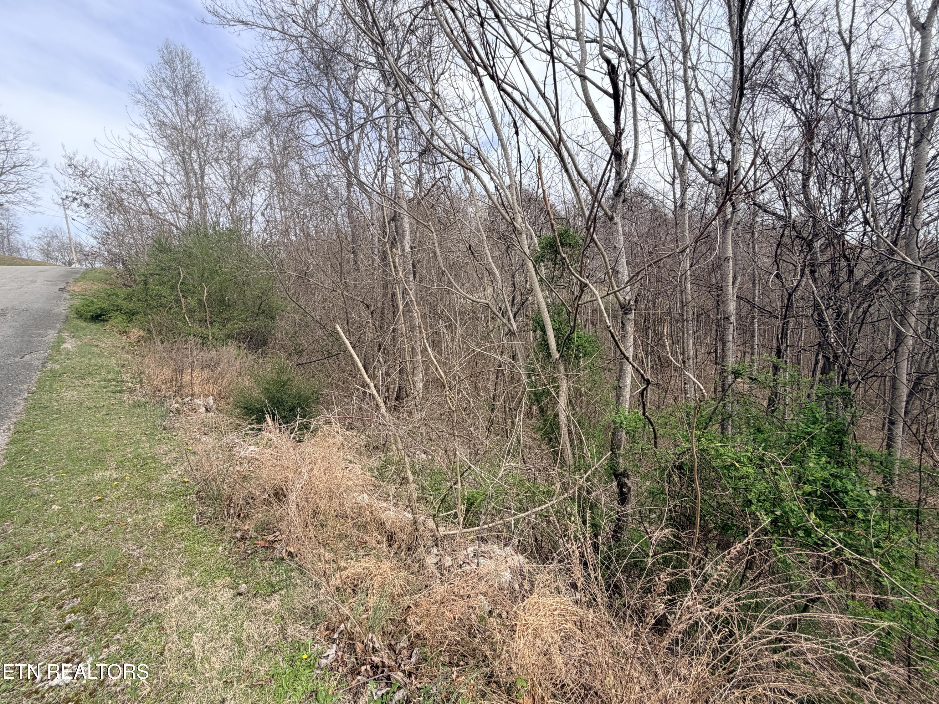 Shanghai Lake Lane Lafollette TN 37766