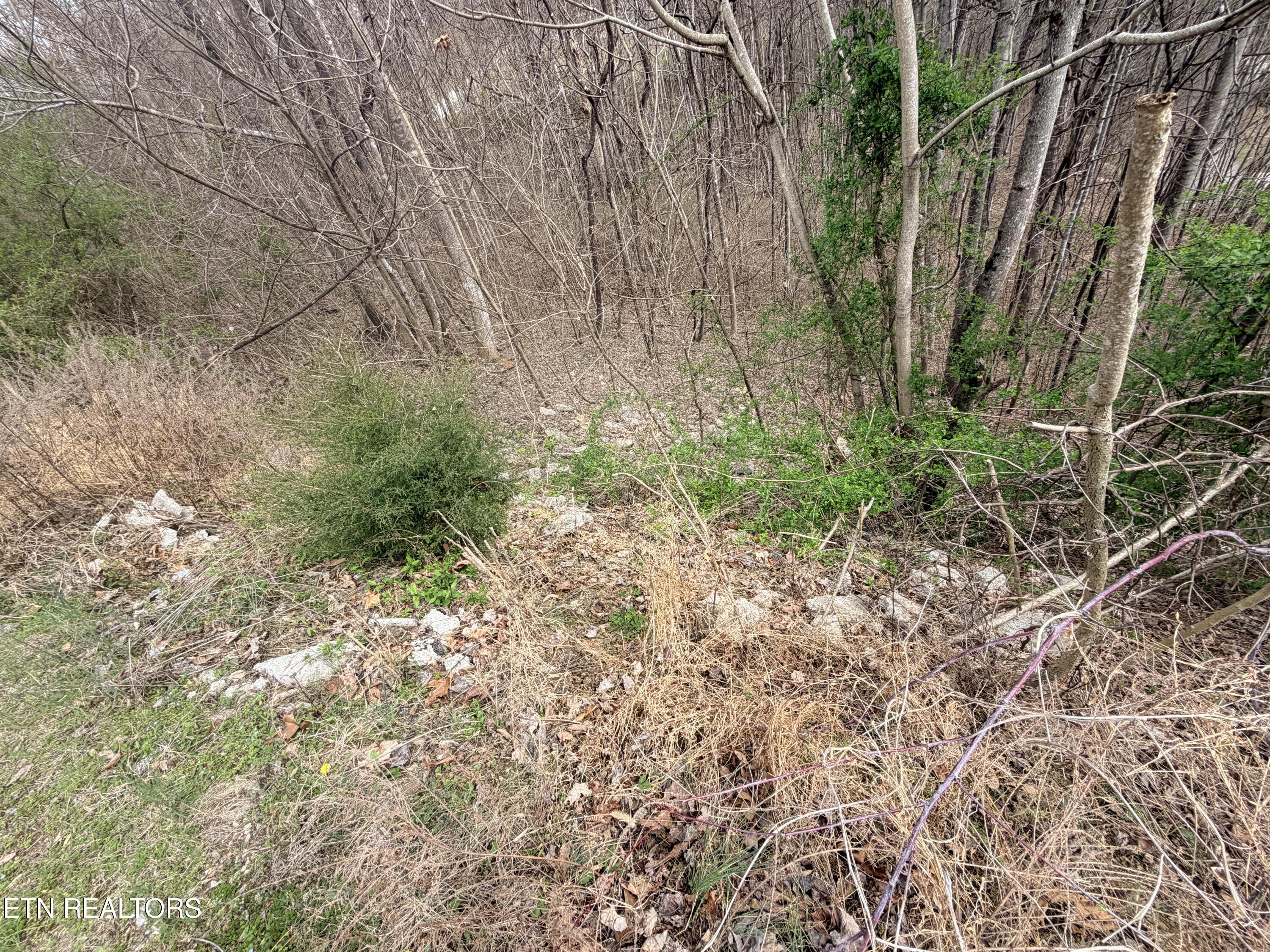 Shanghai Lake Lane Lafollette TN 37766