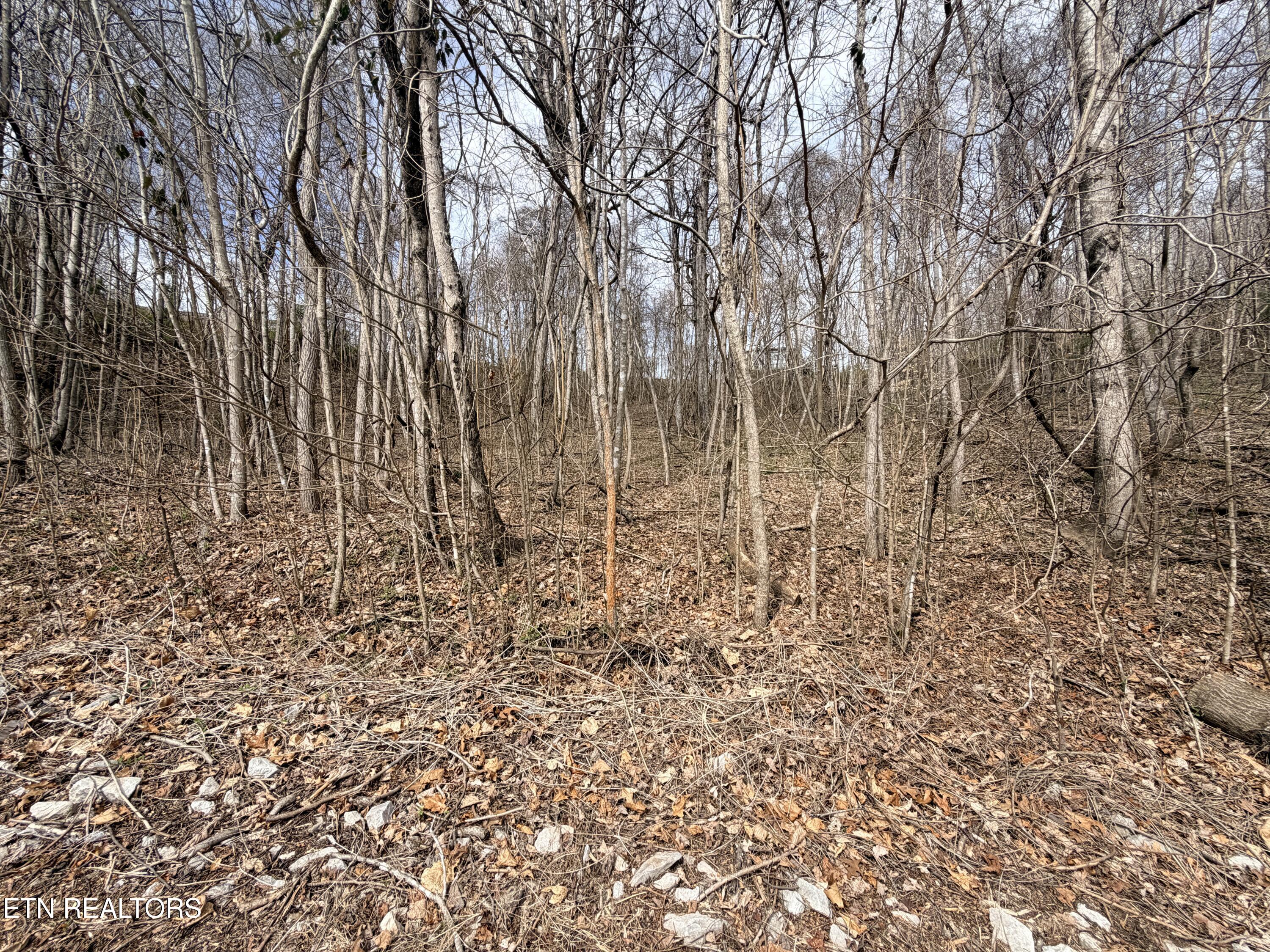 Shanghai Lake Lane Lafollette TN 37766