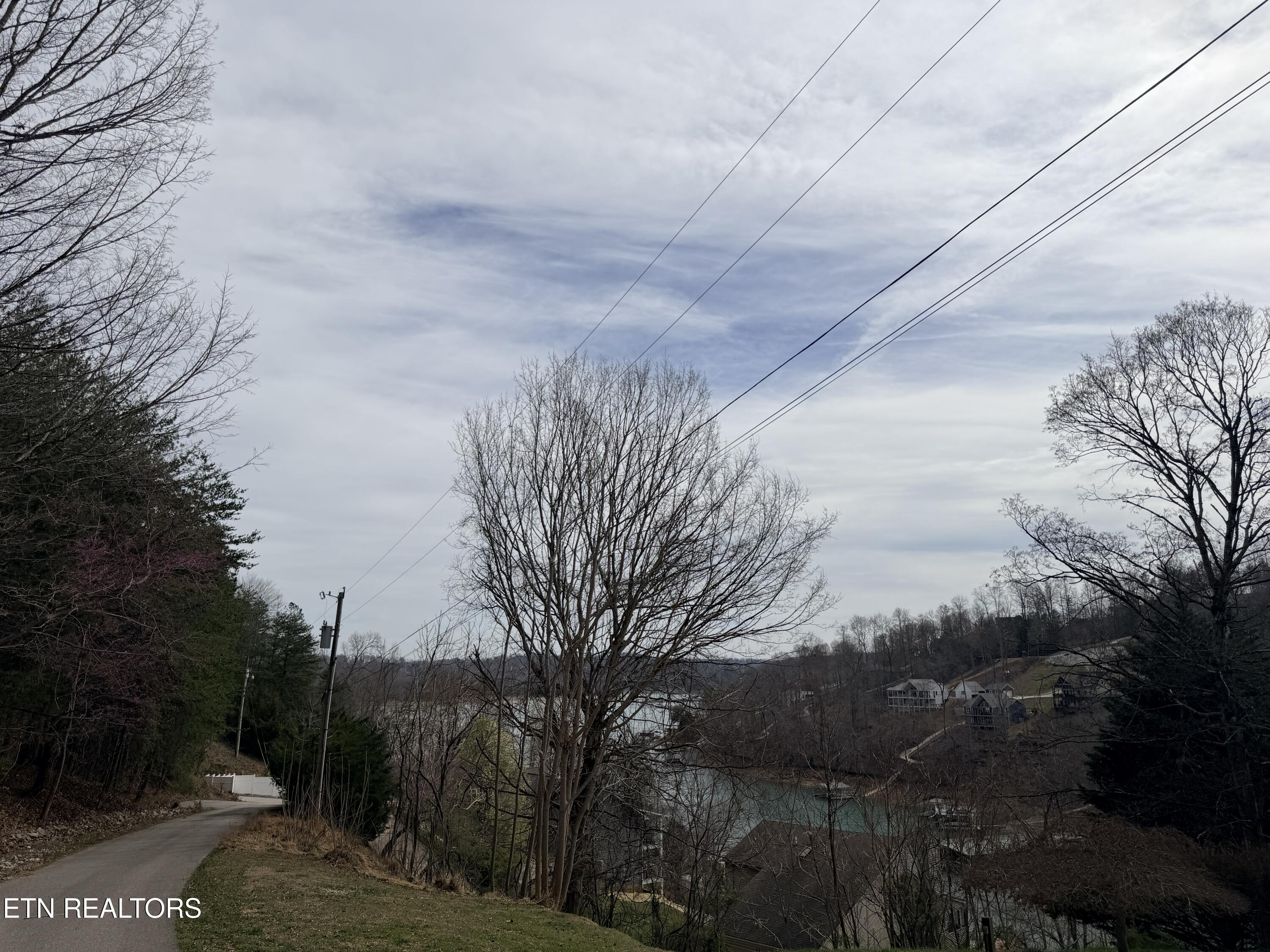 Shanghai Lake Lane Lafollette TN 37766
