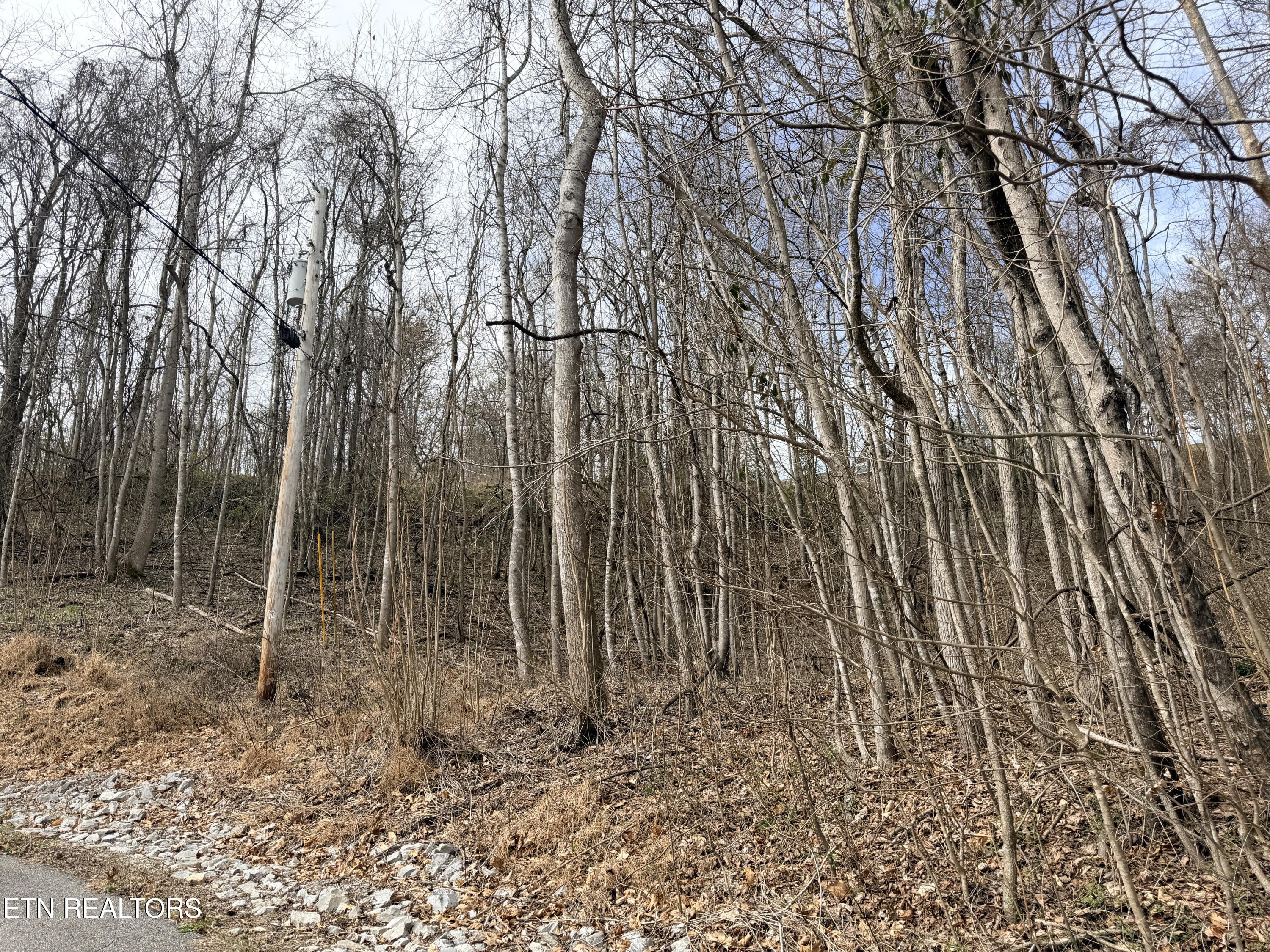 Shanghai Lake Lane Lafollette TN 37766