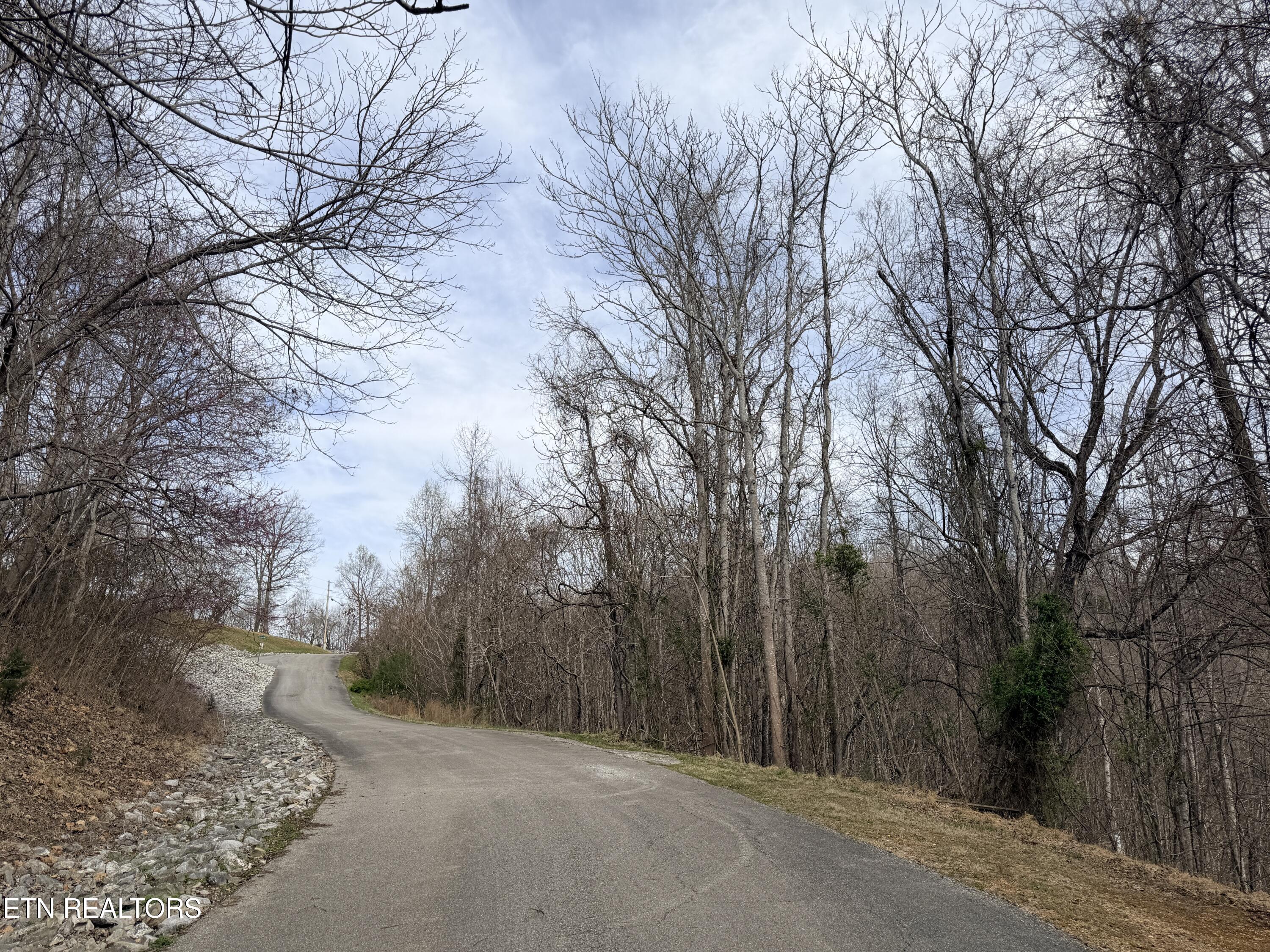 Shanghai Lake Lane Lafollette TN 37766
