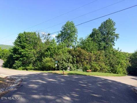 Shanghai Lake Lane LaFollette TN 37766