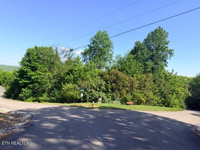 Shanghai Lake Lane Lafollette TN 37766