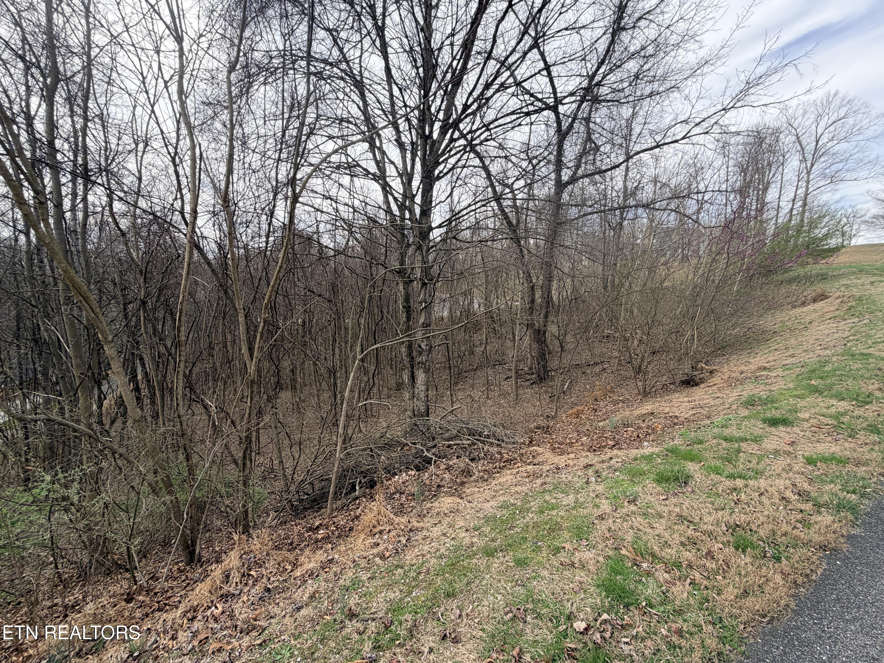 Shanghai Lake Lane Lafollette TN 37766
