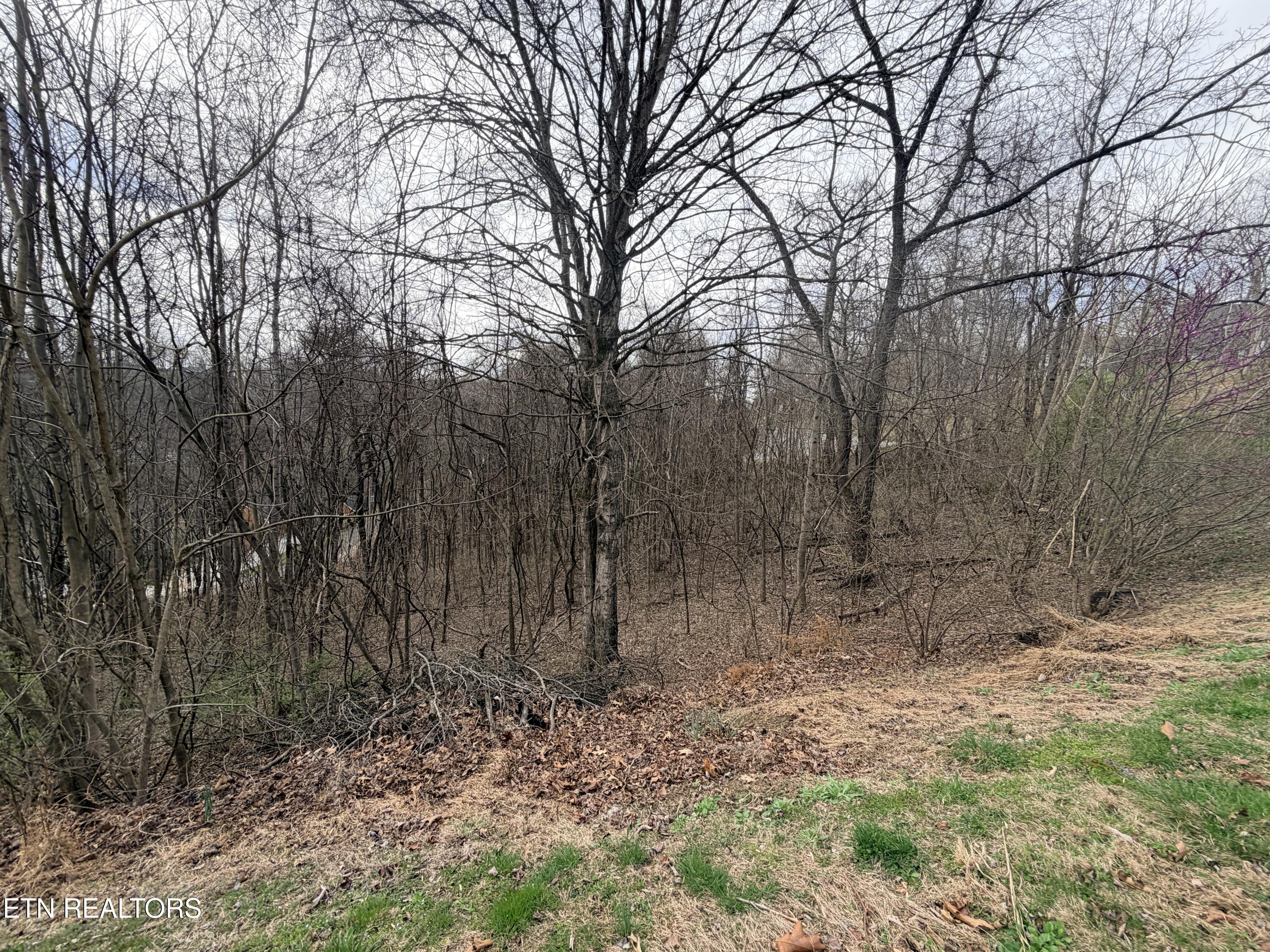 Shanghai Lake Lane Lafollette TN 37766