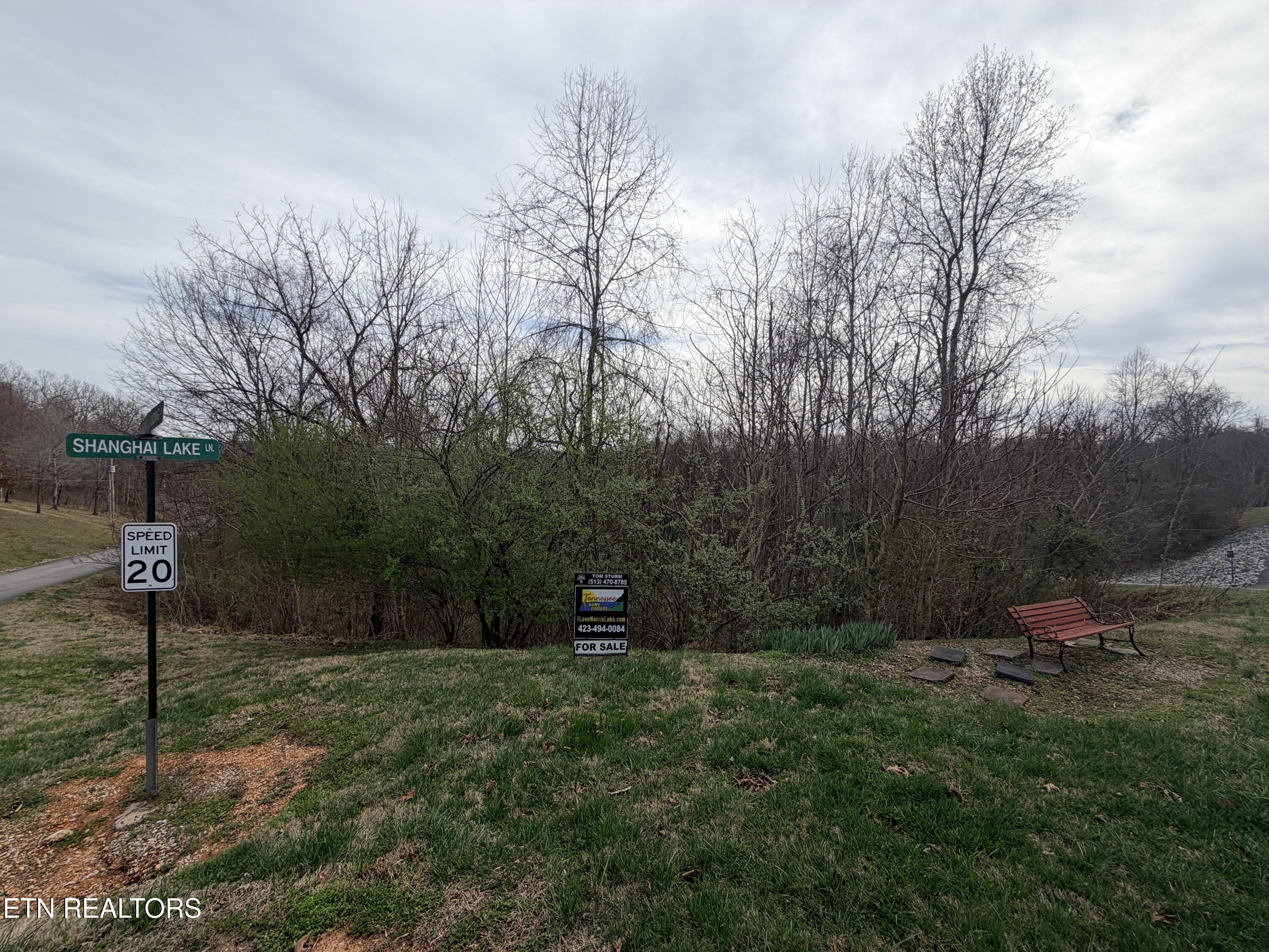 Shanghai Lake Lane Lafollette TN 37766